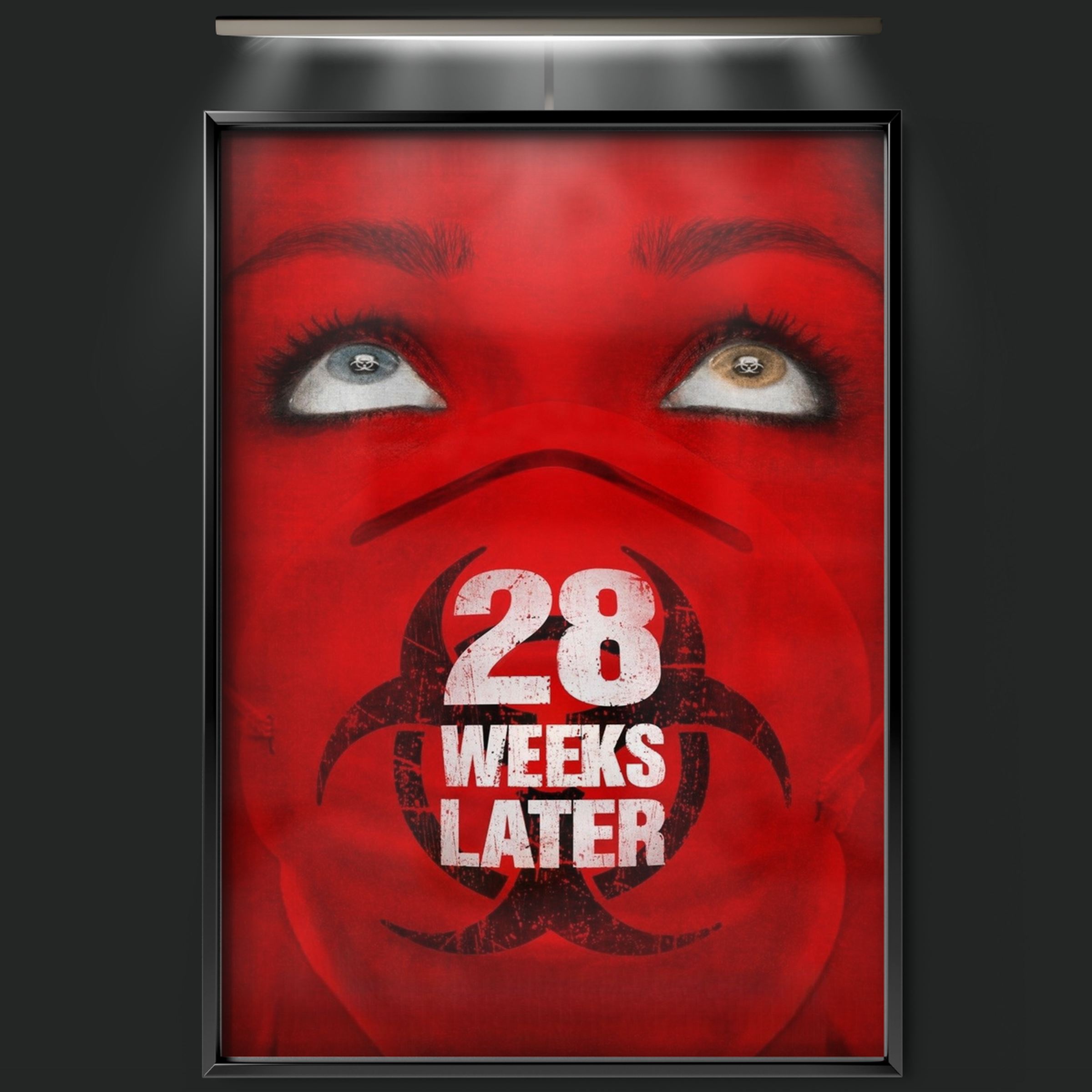 28 Weeks Later (2007)