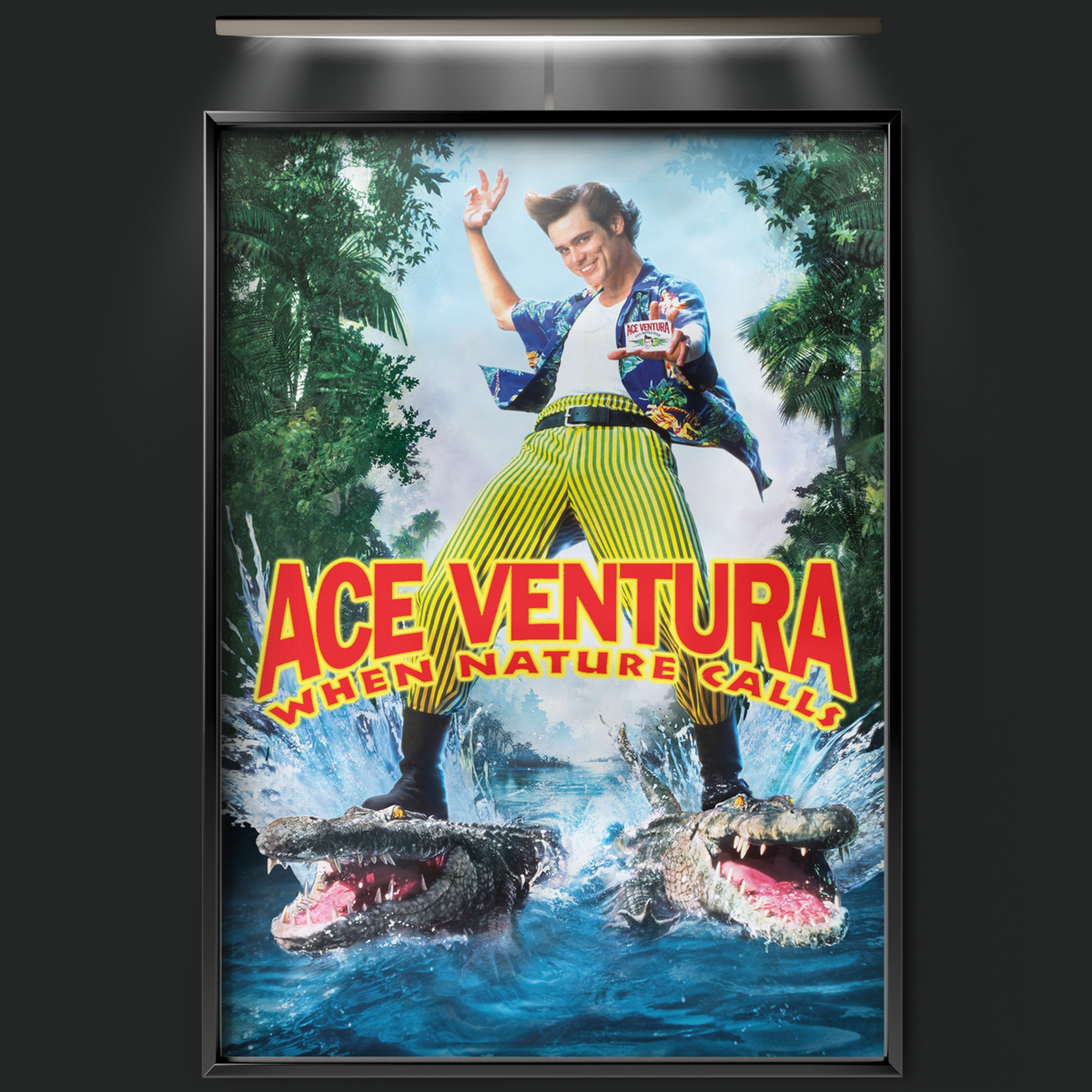 Ace Ventura When Nature Calls (1995)