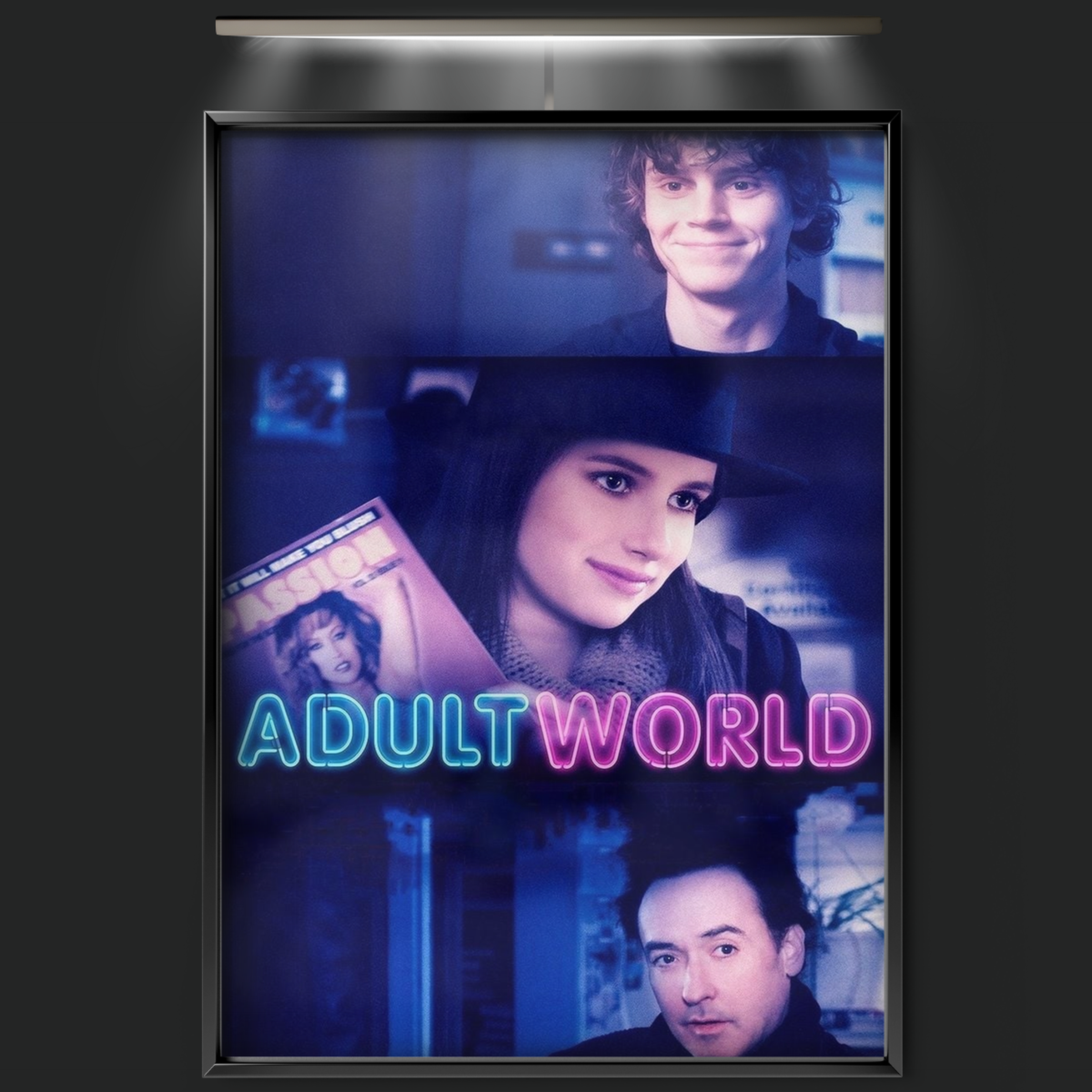 Adult World (2014)