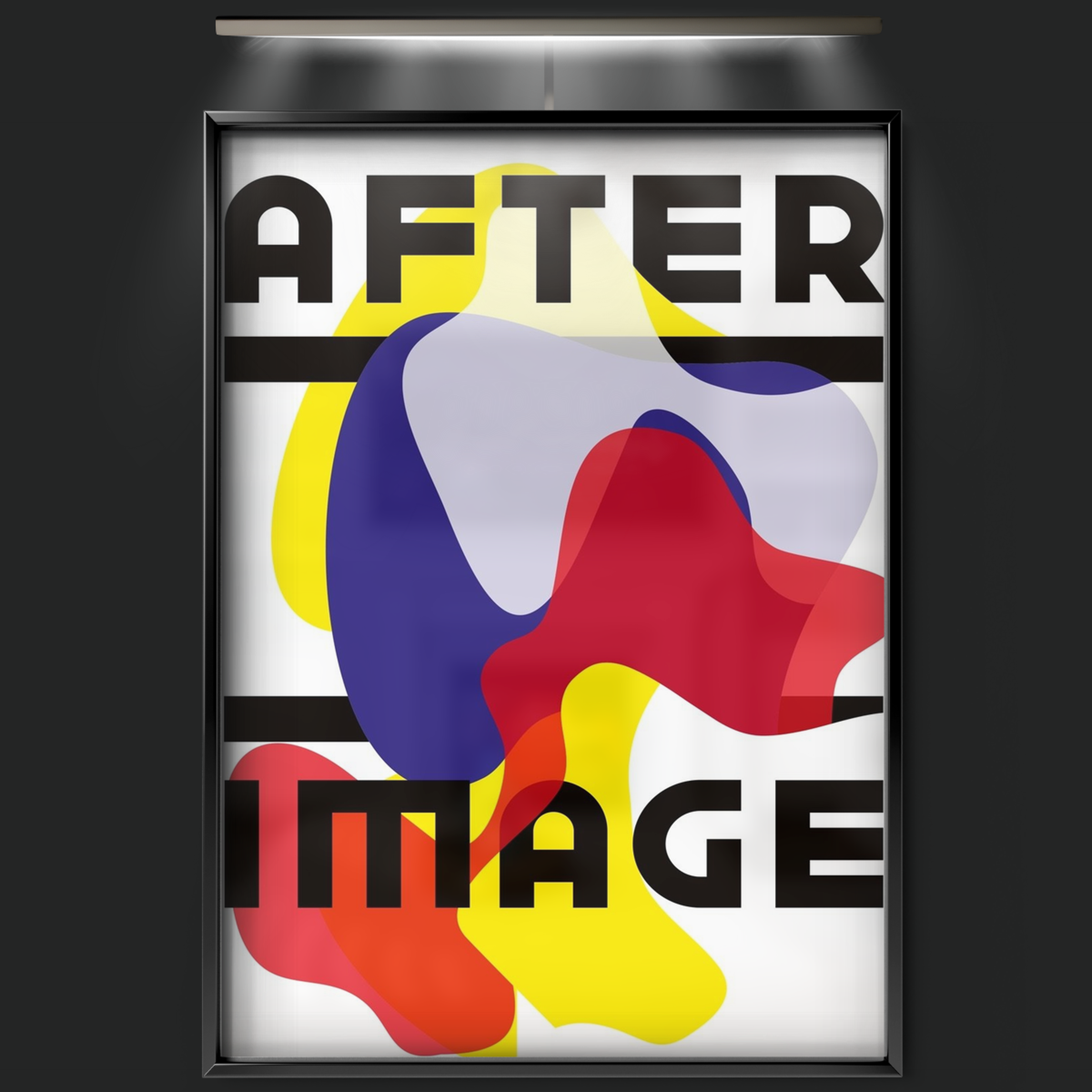 Afterimage (2016)