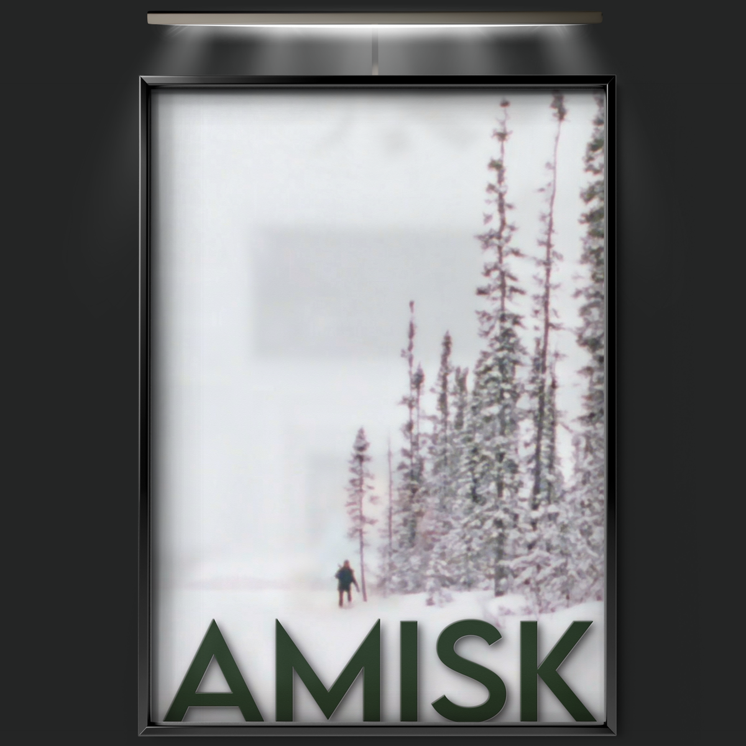 Amisk (1977)