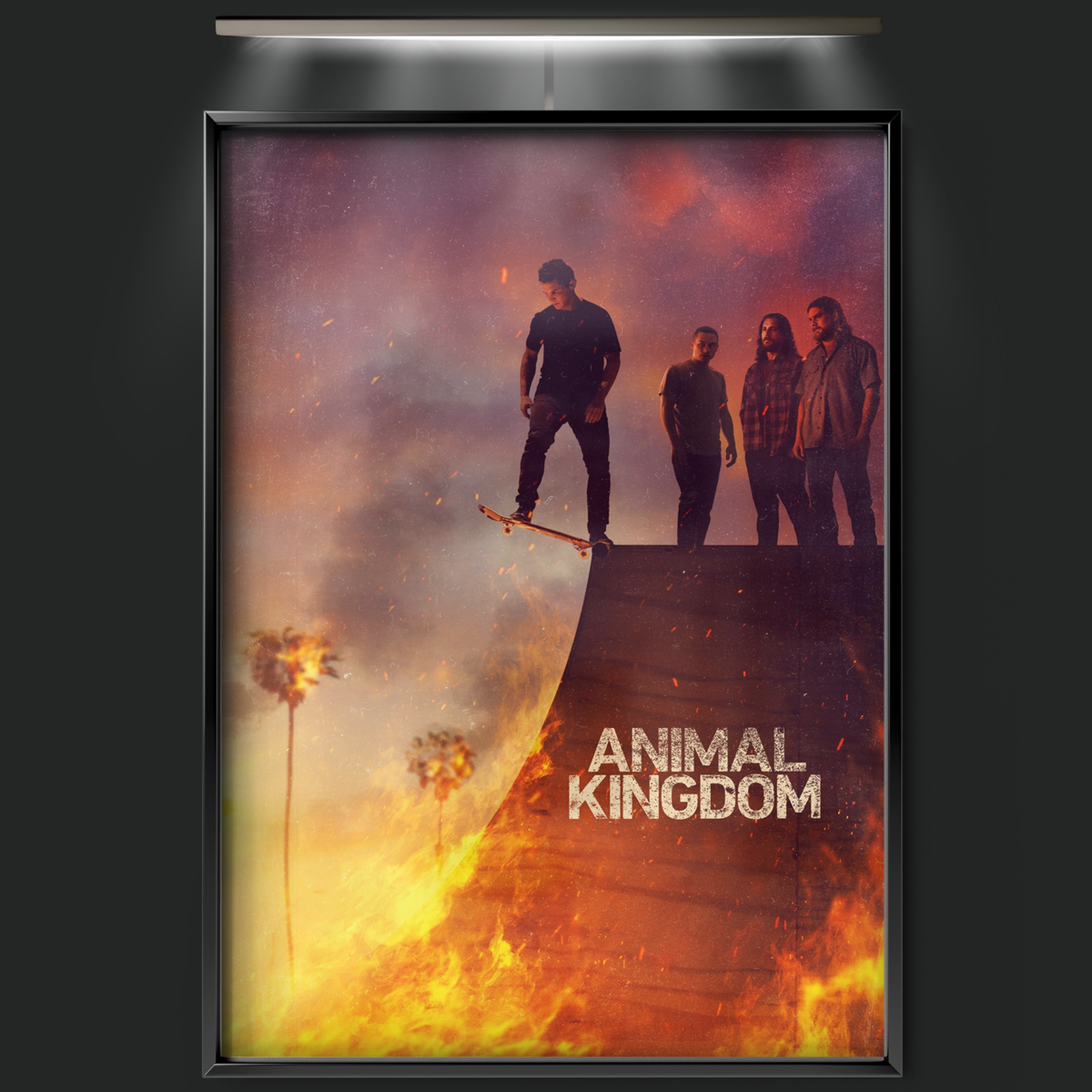 Animal Kingdom (2016)