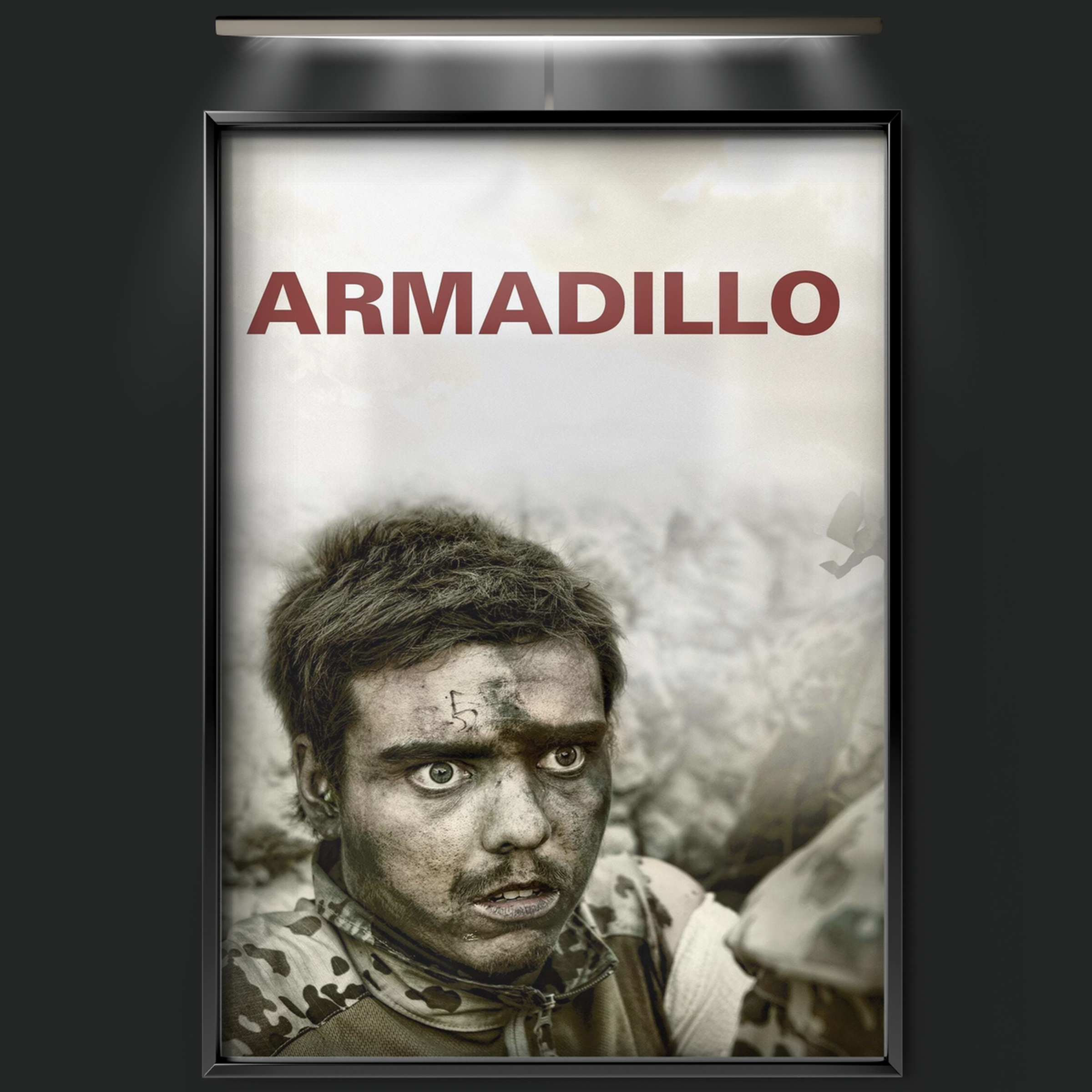 Armadillo (2010)