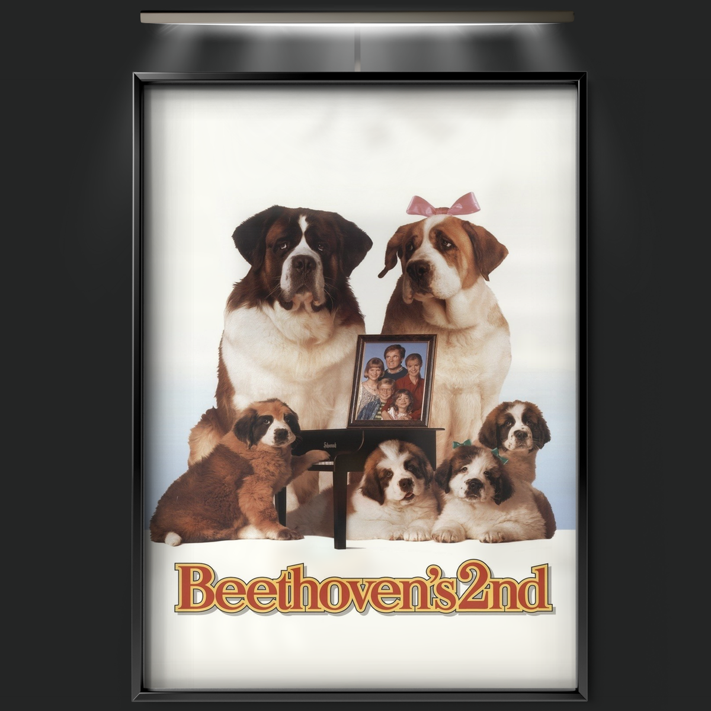 Beethoven's 2nd (1993)