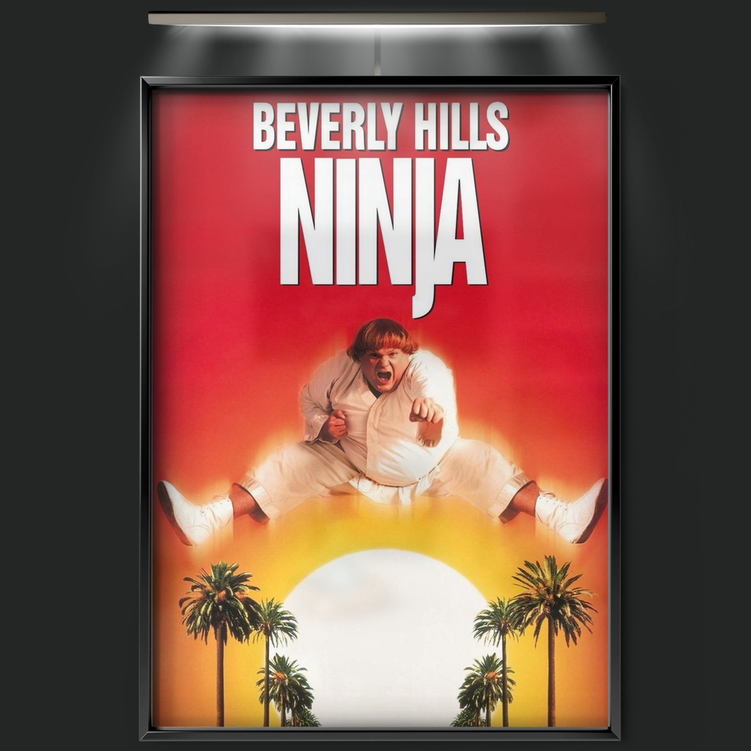 Beverly Hills Ninja (1997)