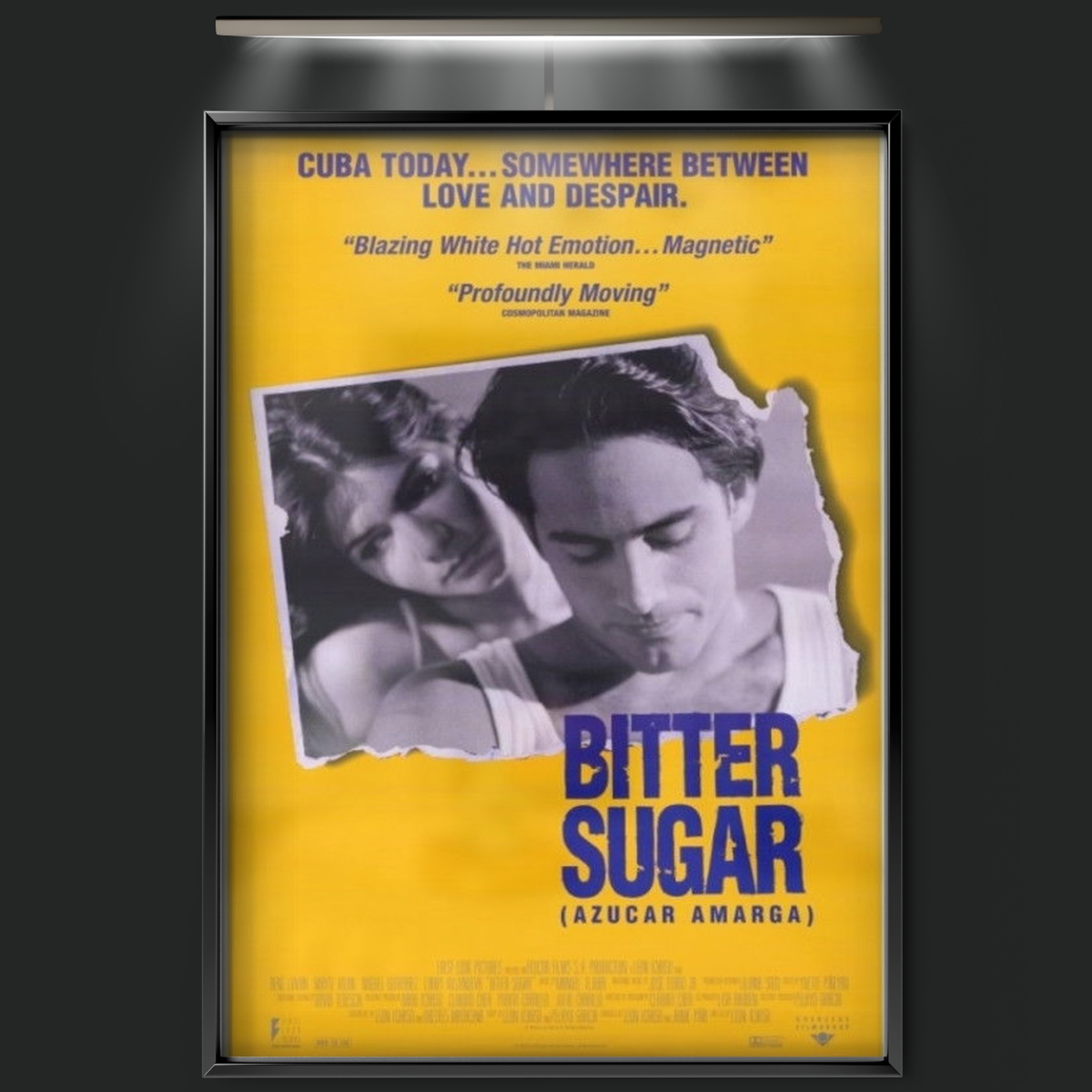Bitter Sugar (1996)