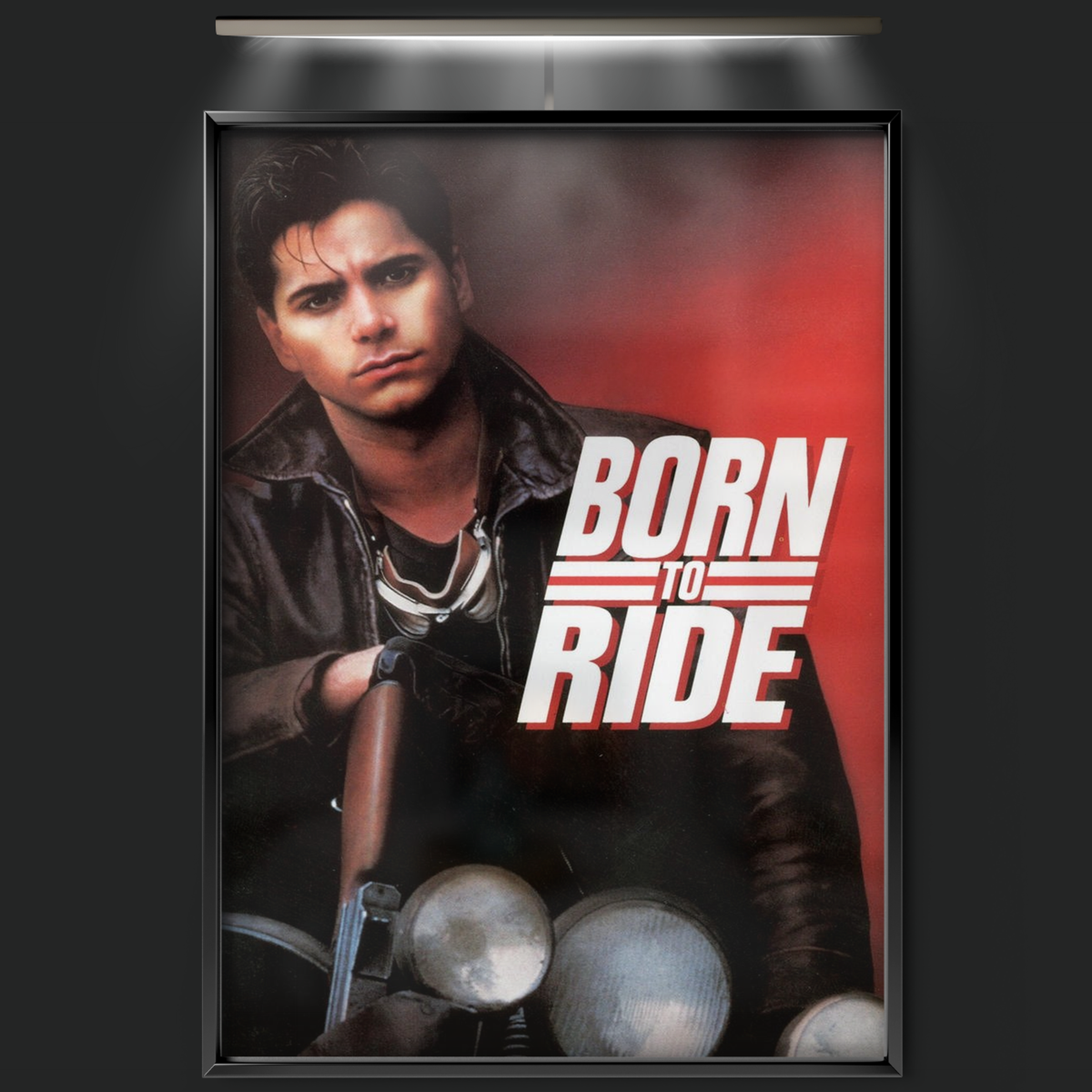 Born To Ride (1991)