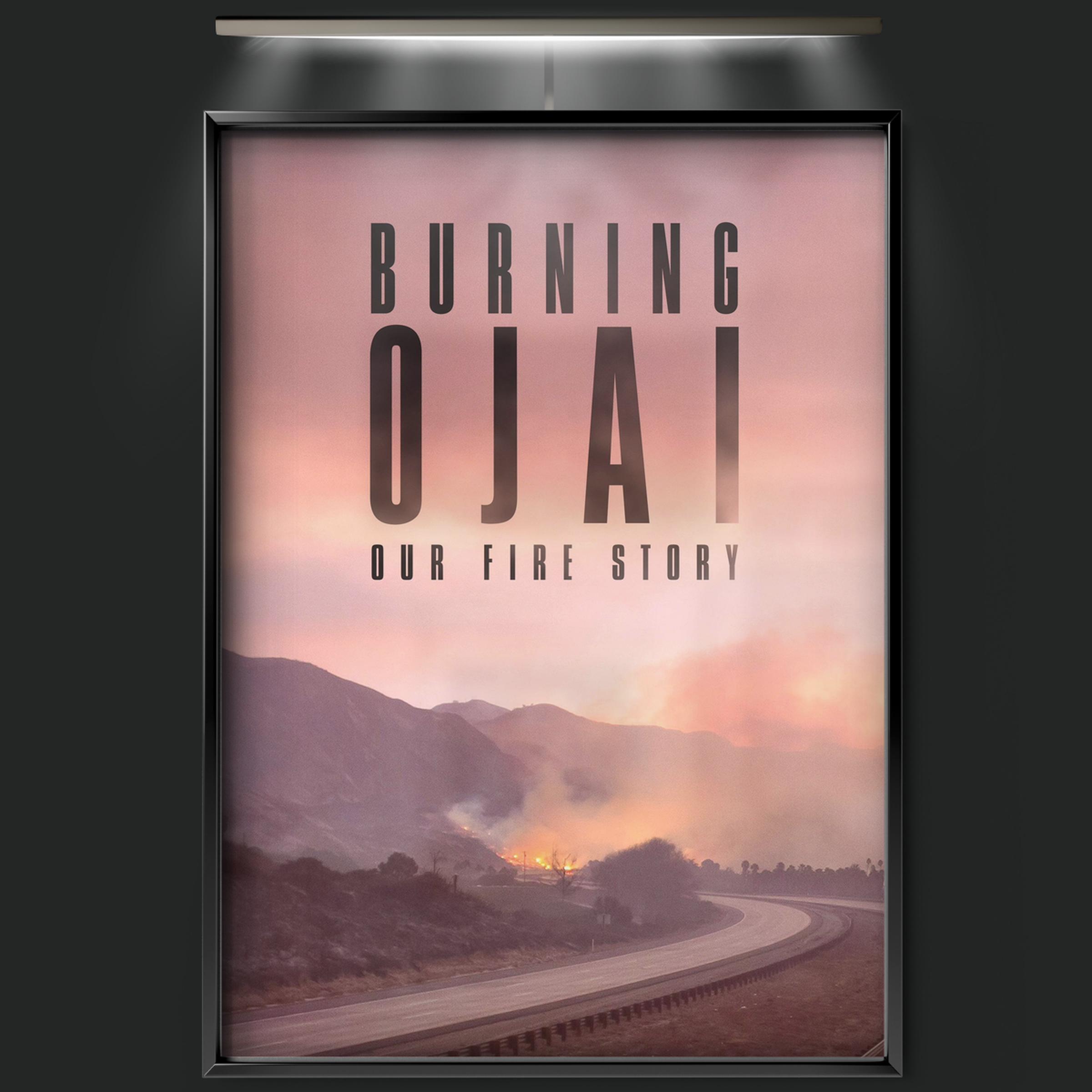 Burning Ojai Our Fire Story (2020)