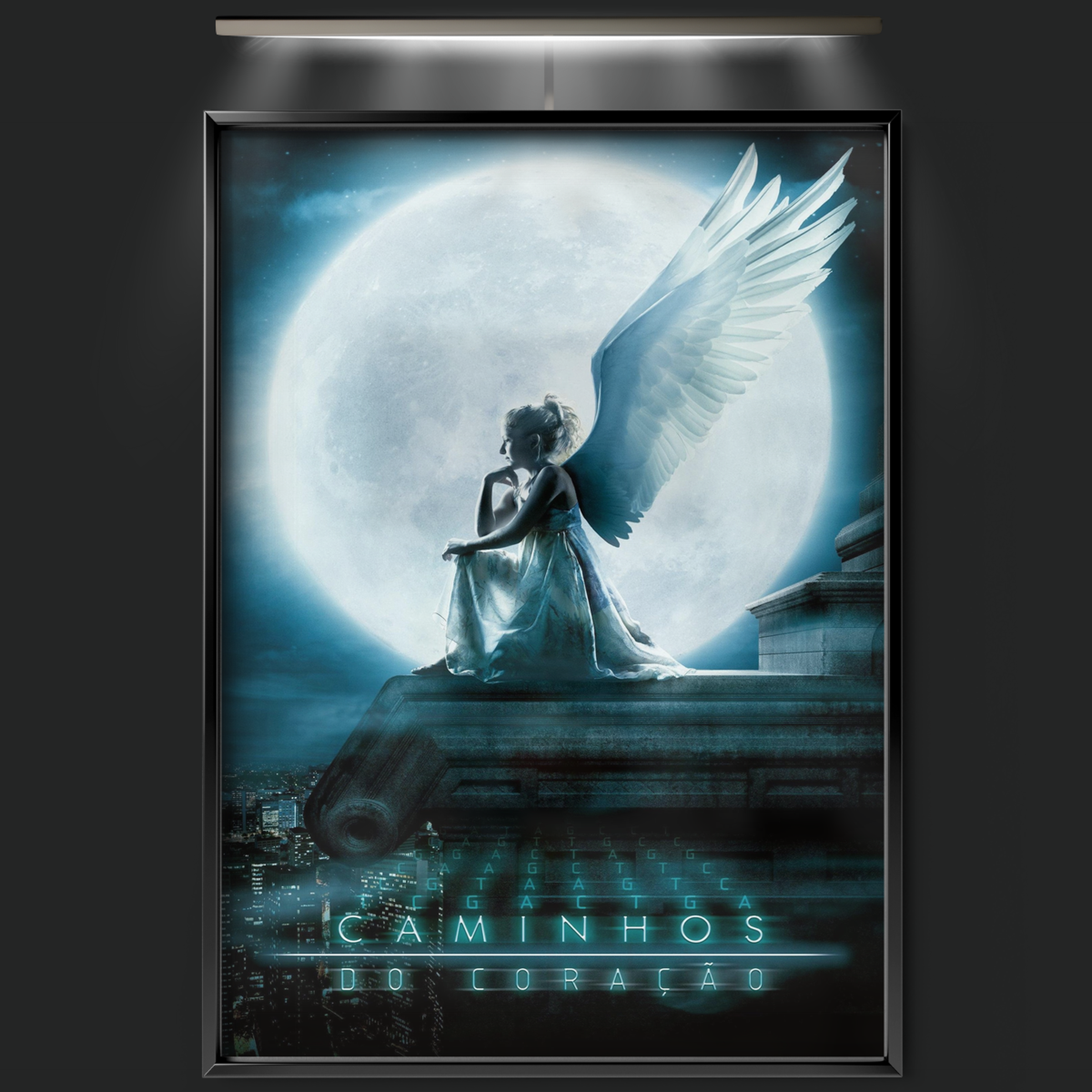 Caminhos Do Coração (2007)