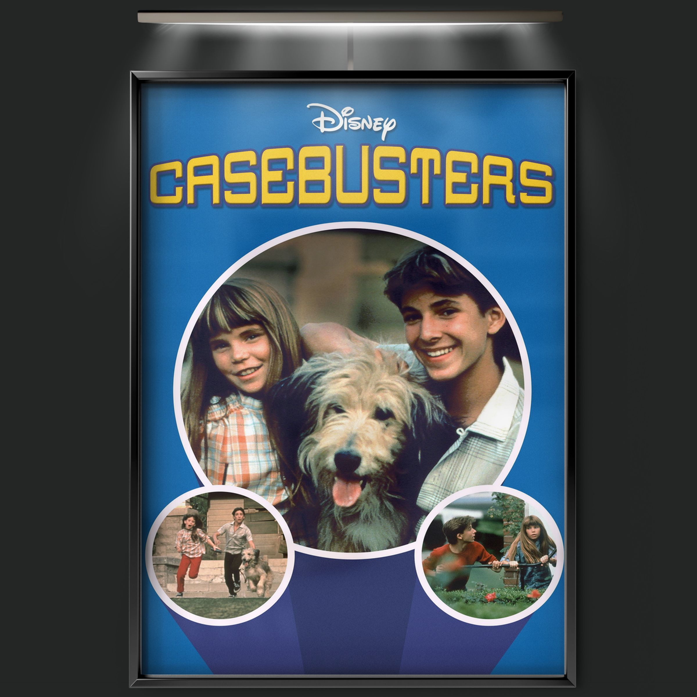 Casebusters (1986)