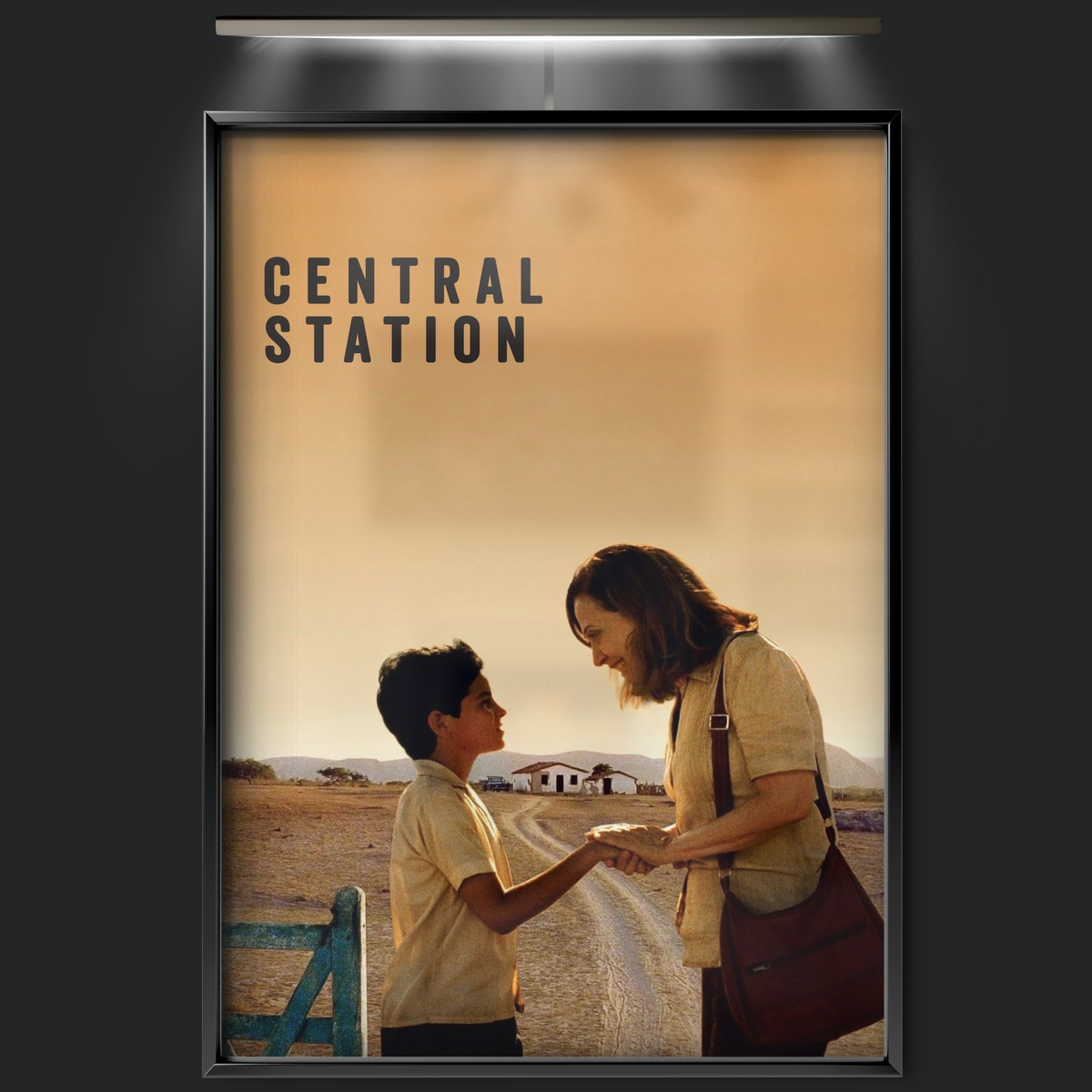 Central Station (1998)