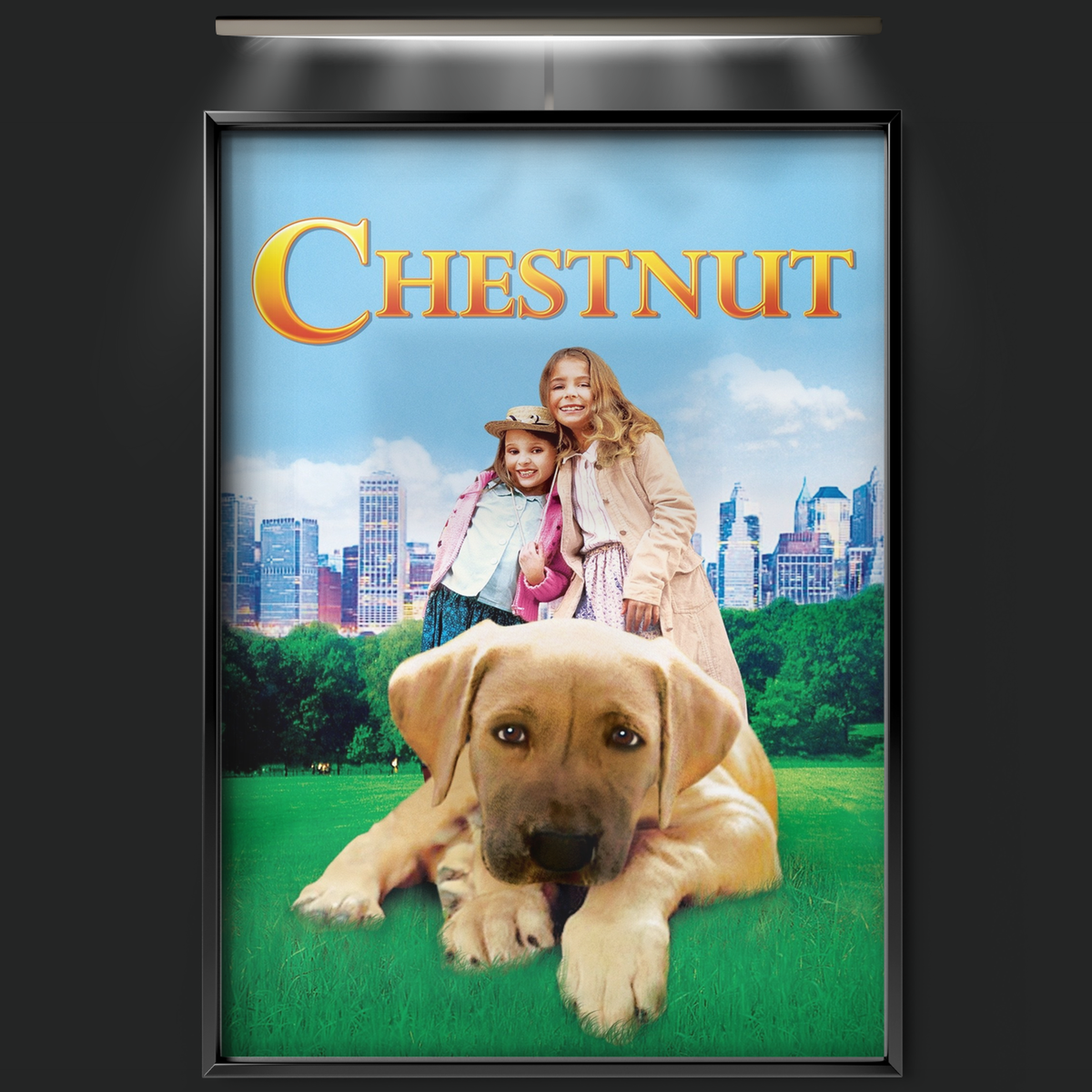 Chestnut Hero Of Central Park (2004)