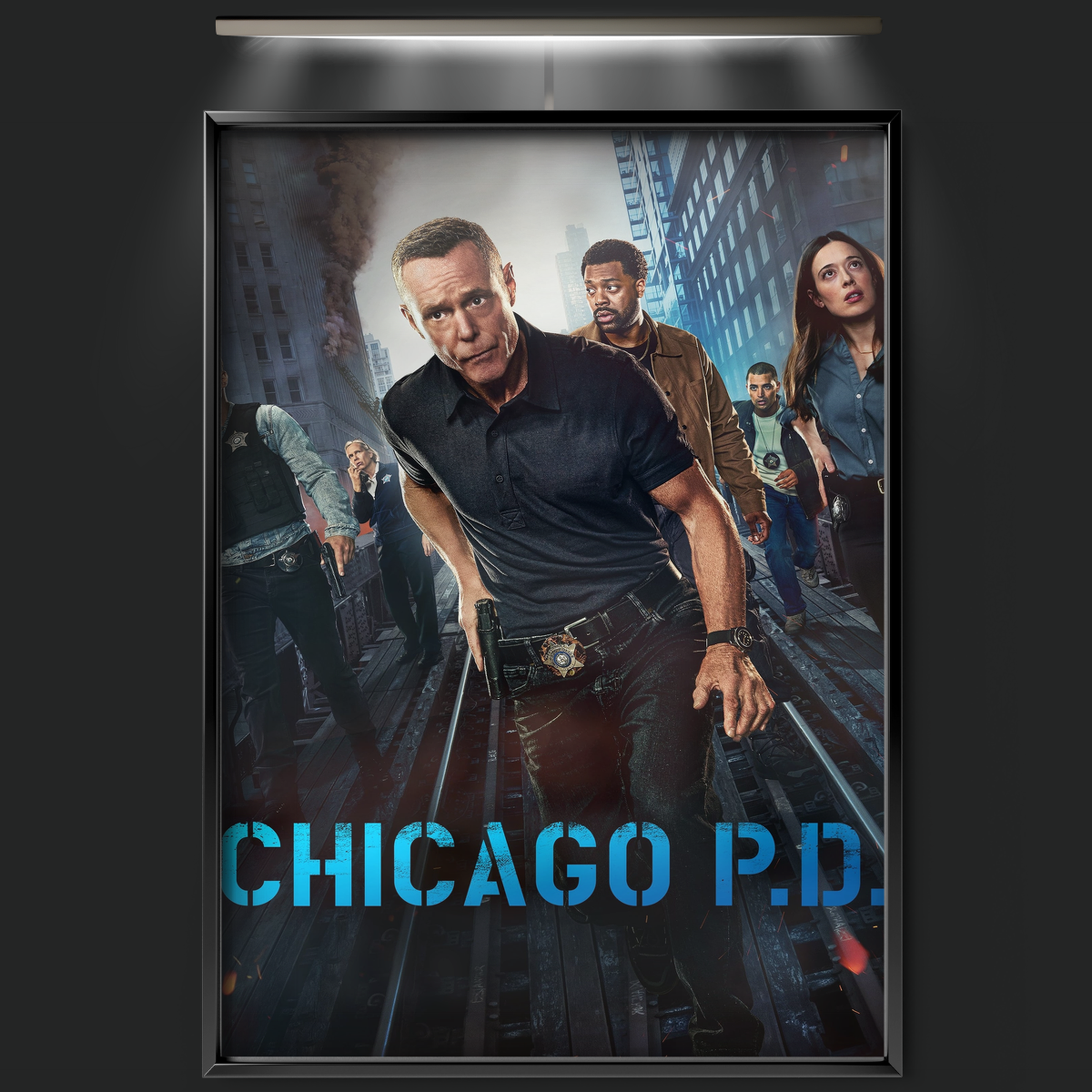 Chicago P.d. (2014)