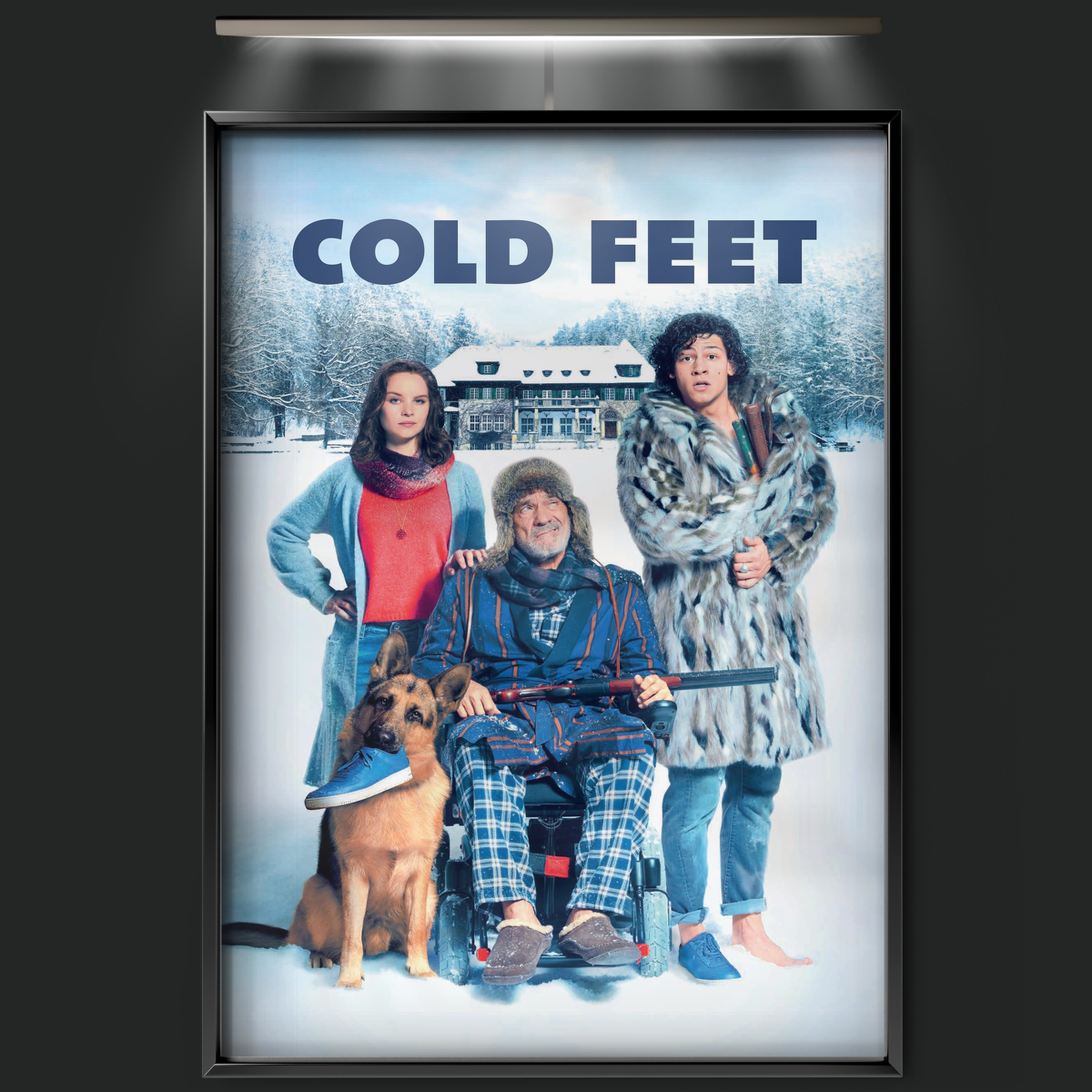 Cold Feet (2018)