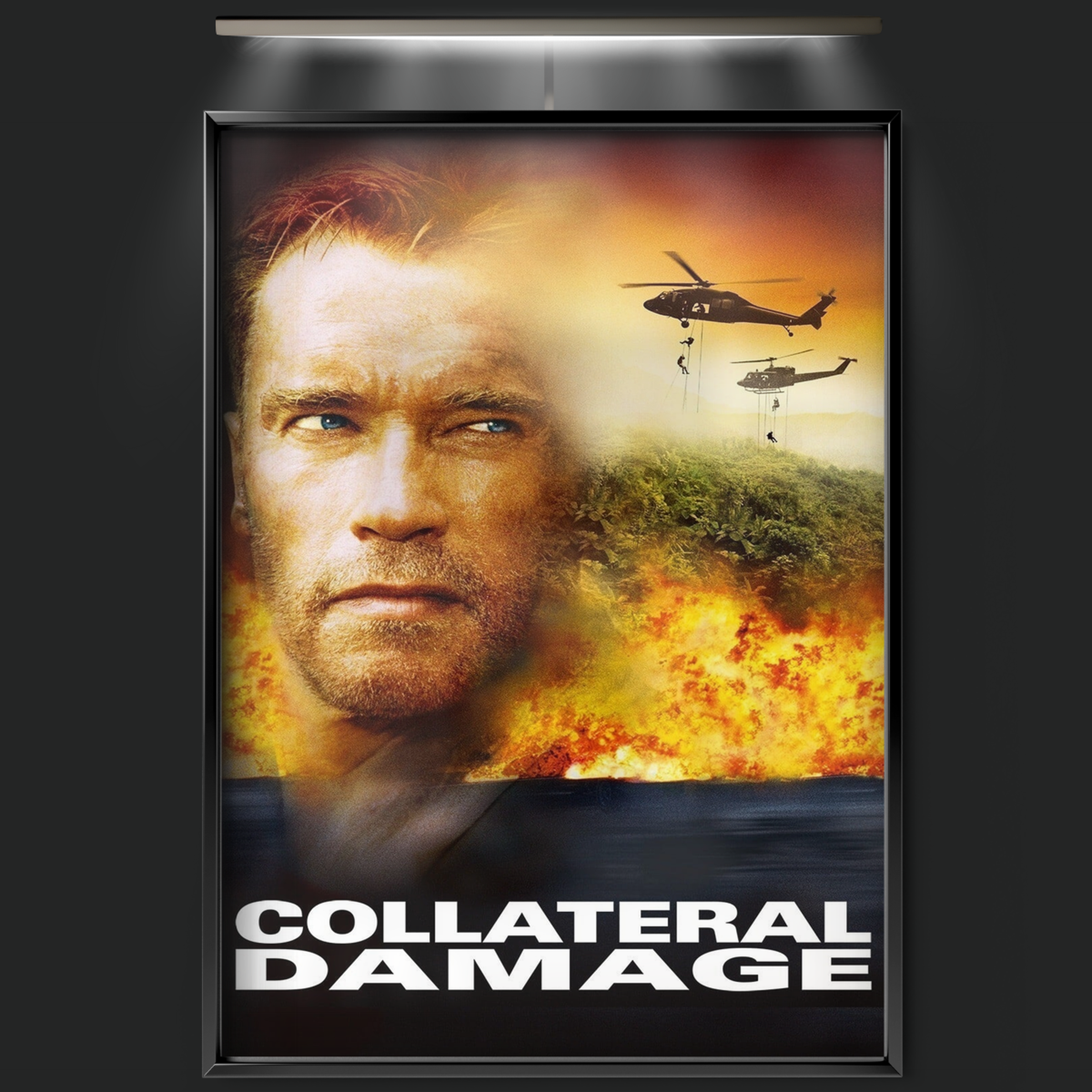Collateral Damage (2002)