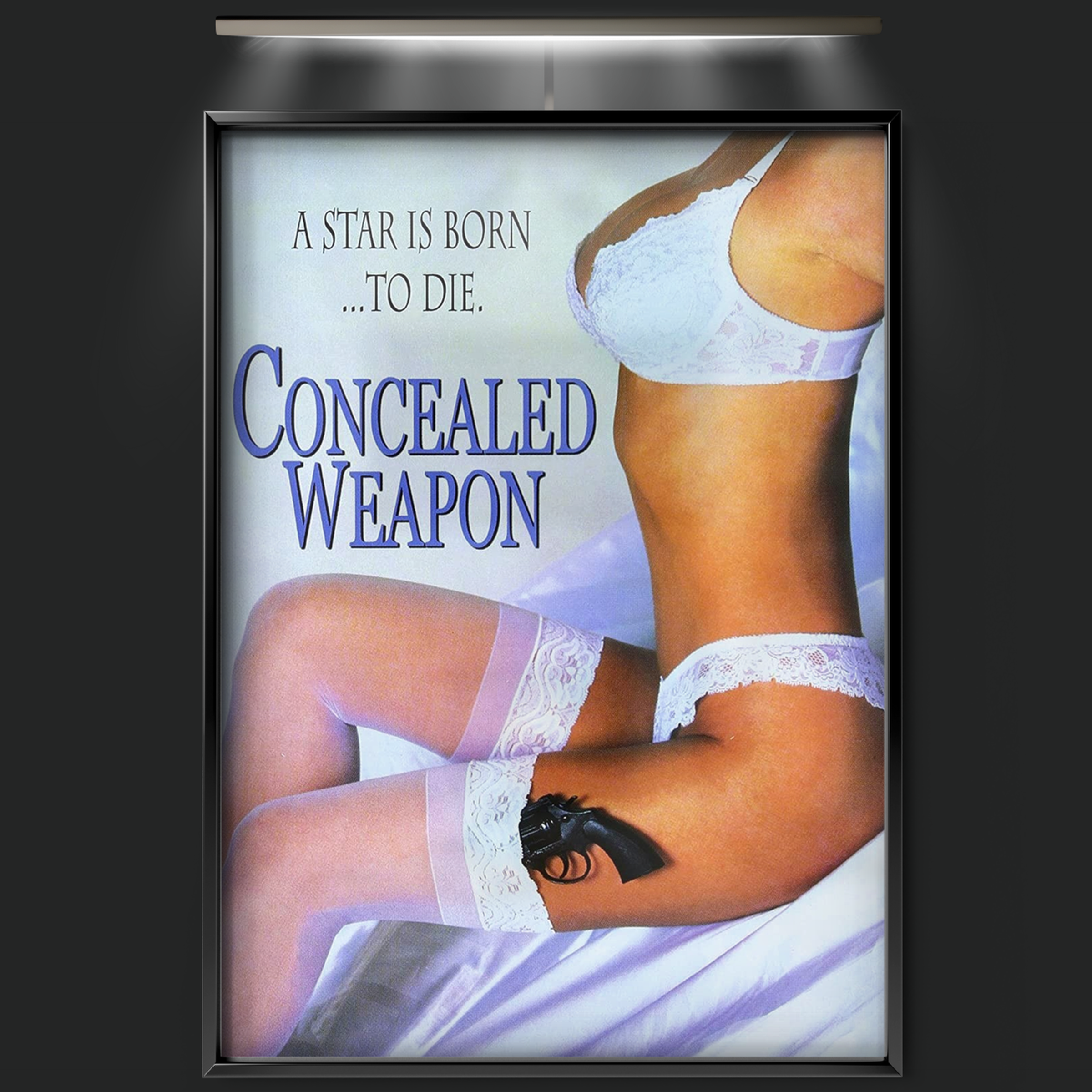 Concealed Weapon (1994)