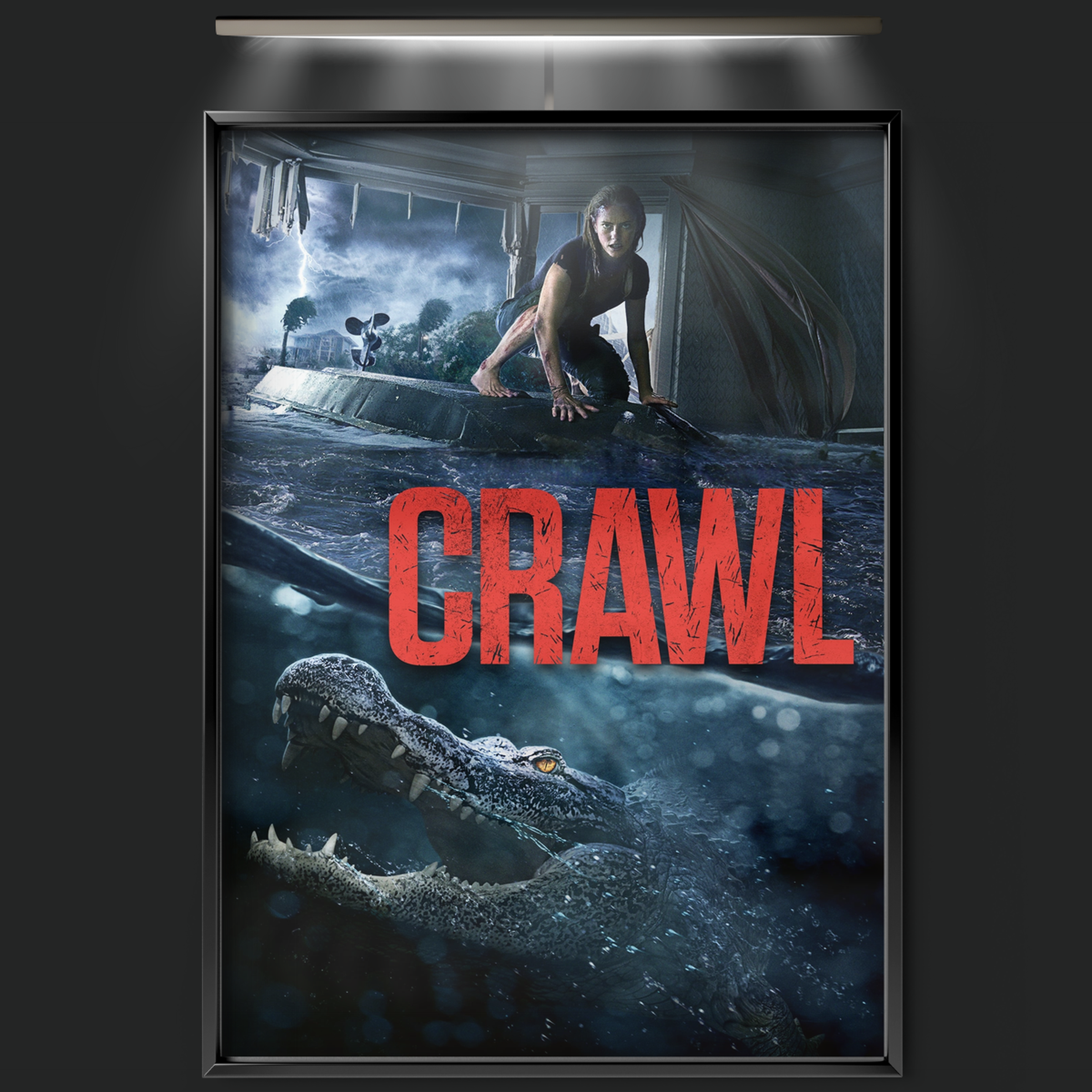 Crawl (2019)