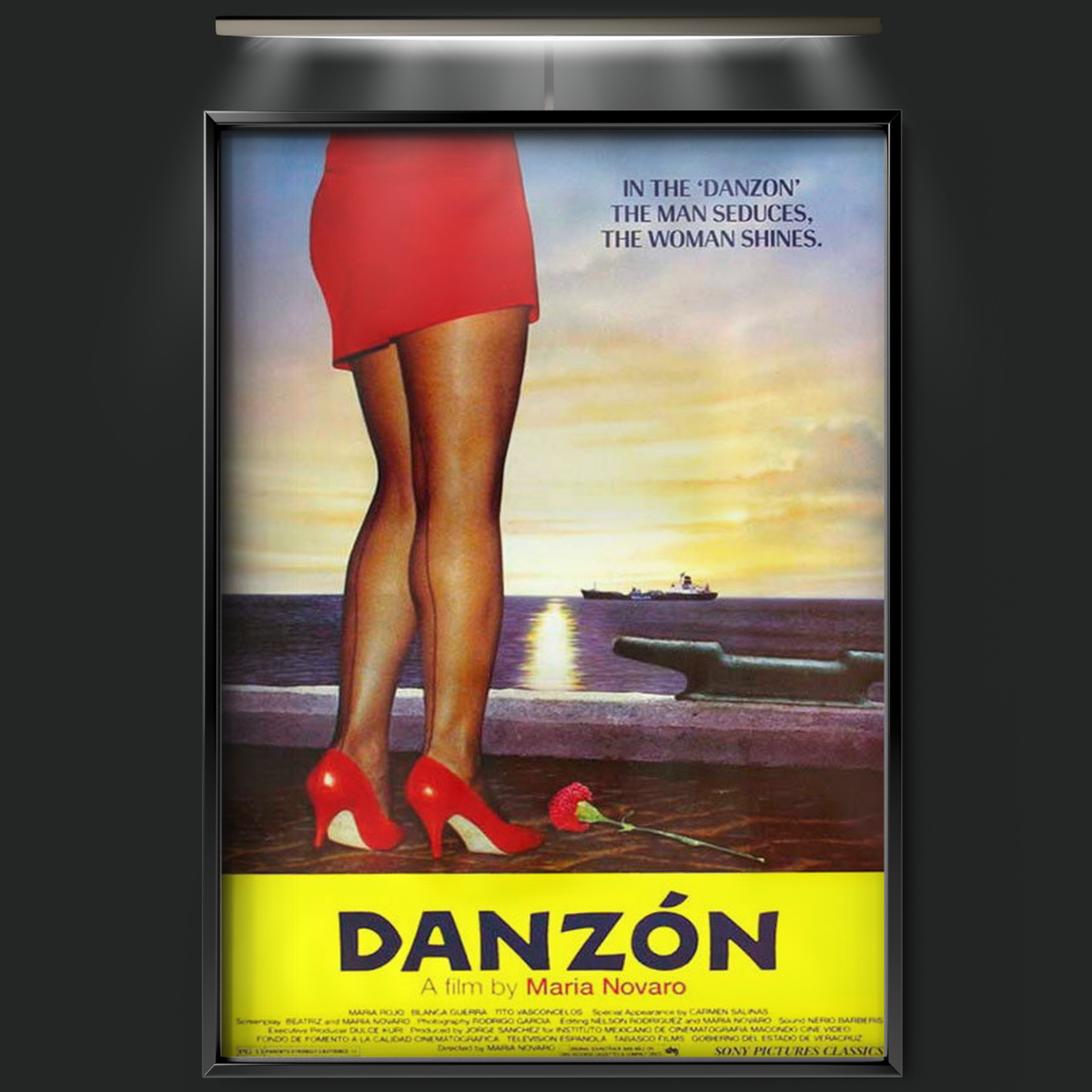 Danzón (1991)