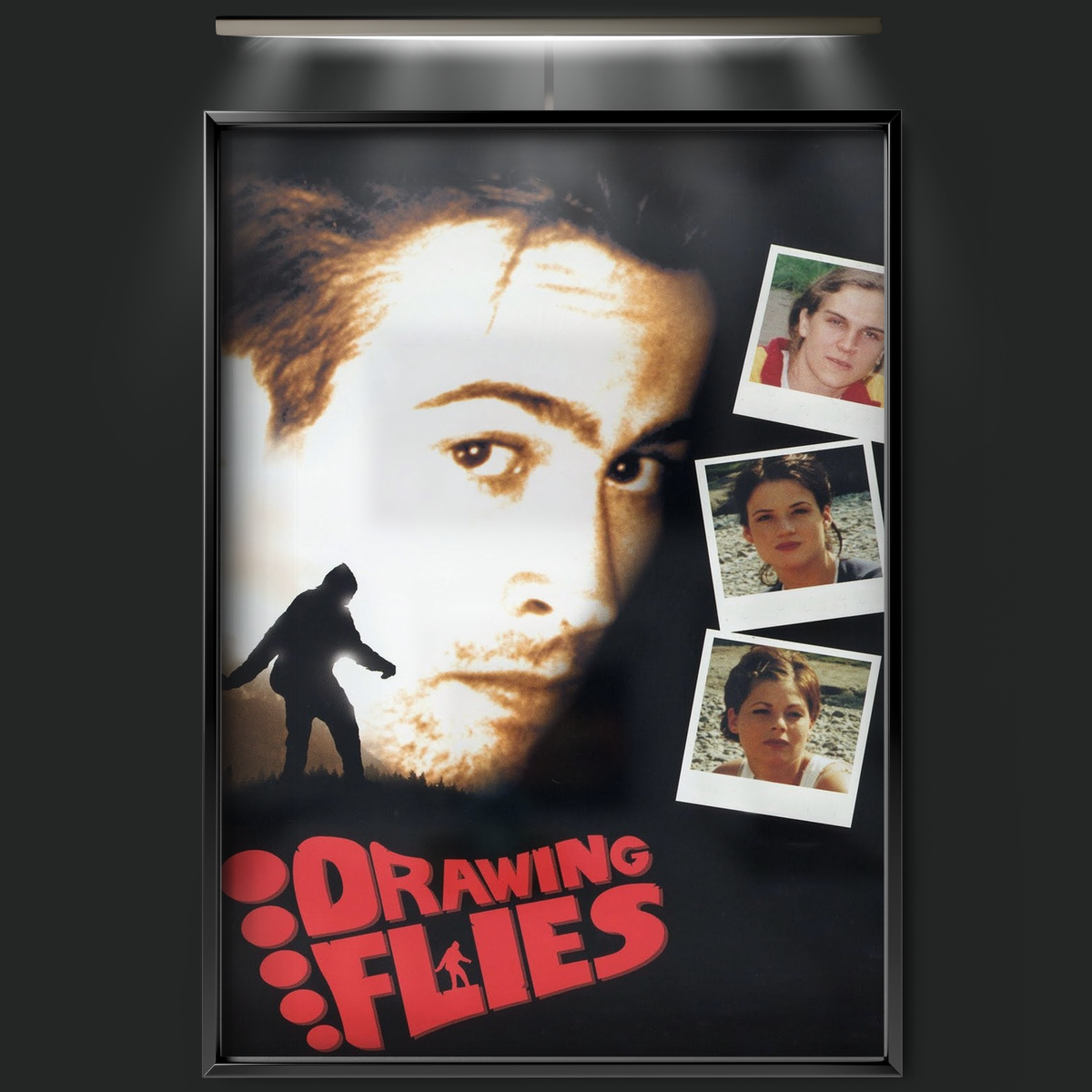 Drawing Flies (1996)