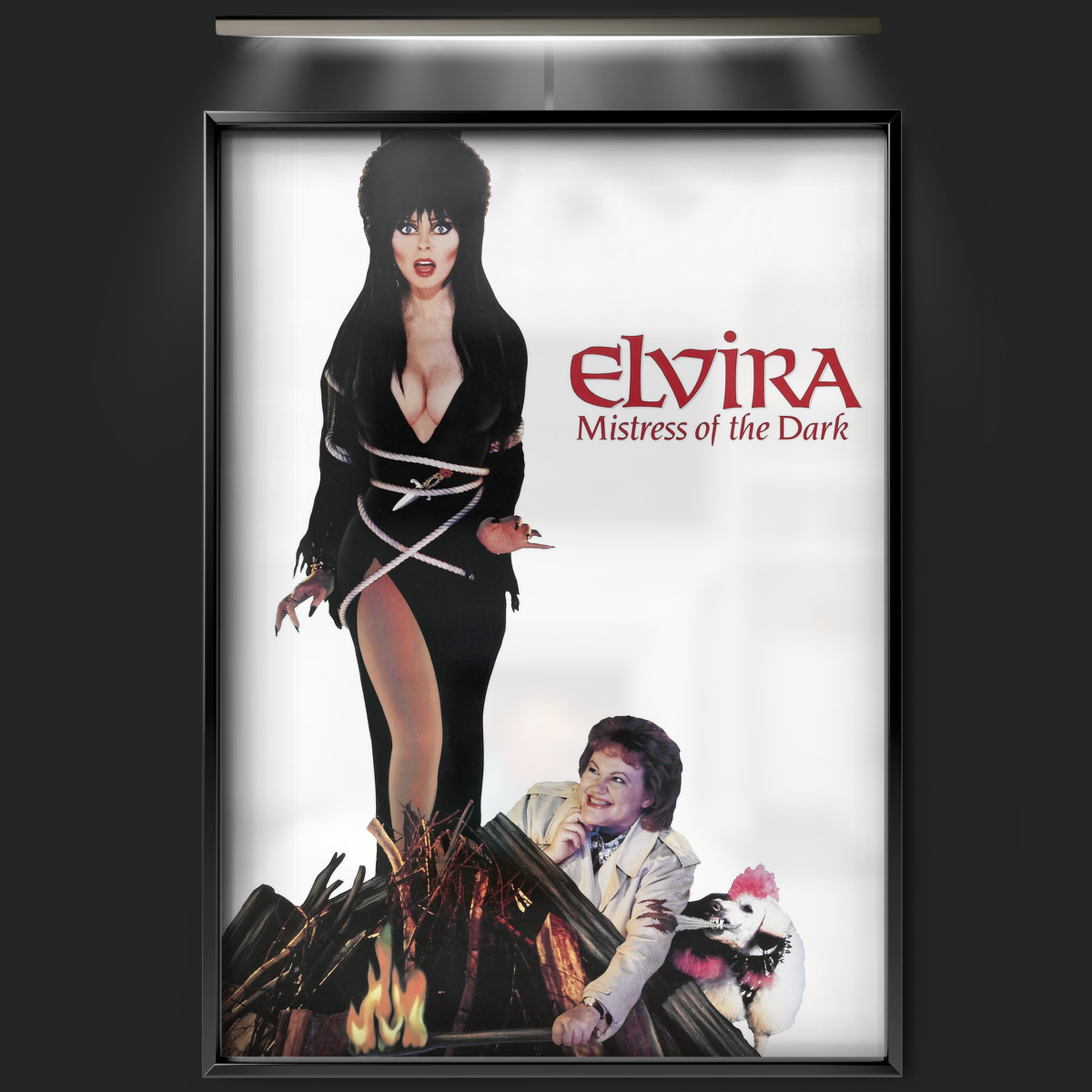 Elvira Mistress Of The Dark (1988)