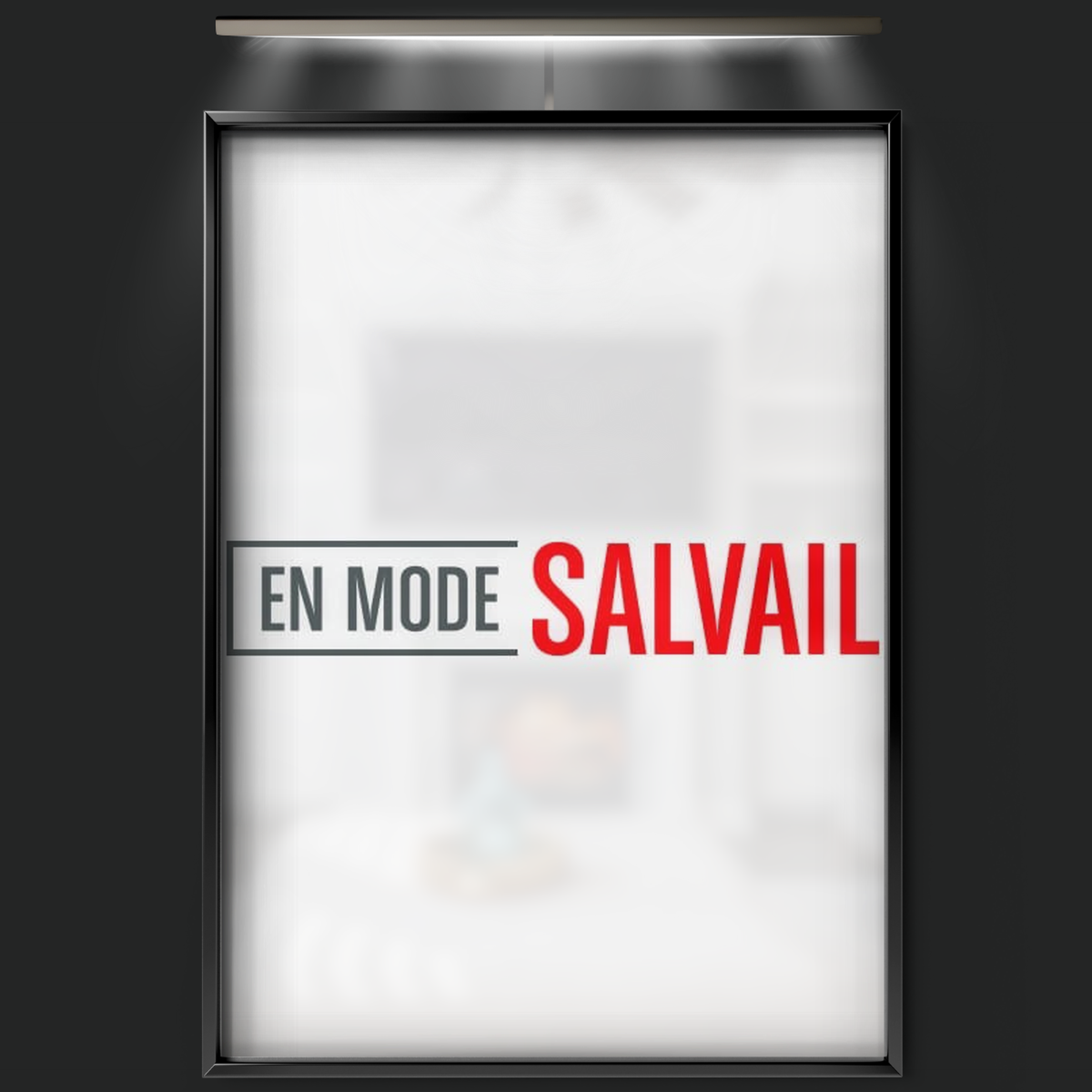 En Mode Salvail (2013)