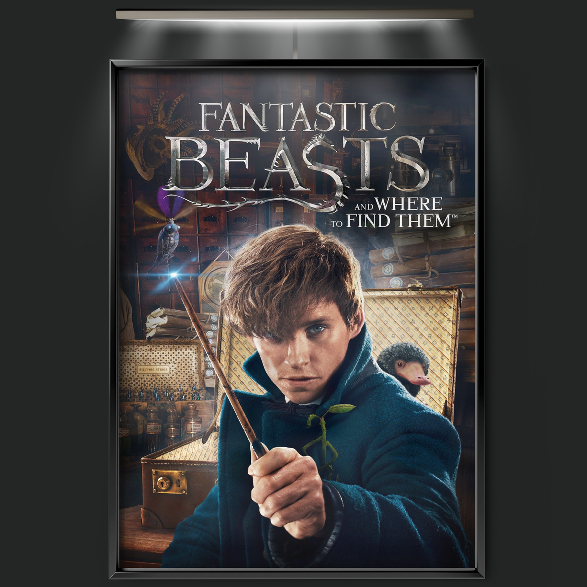 Fantastic Beasts And Where To Find Them (2016)
