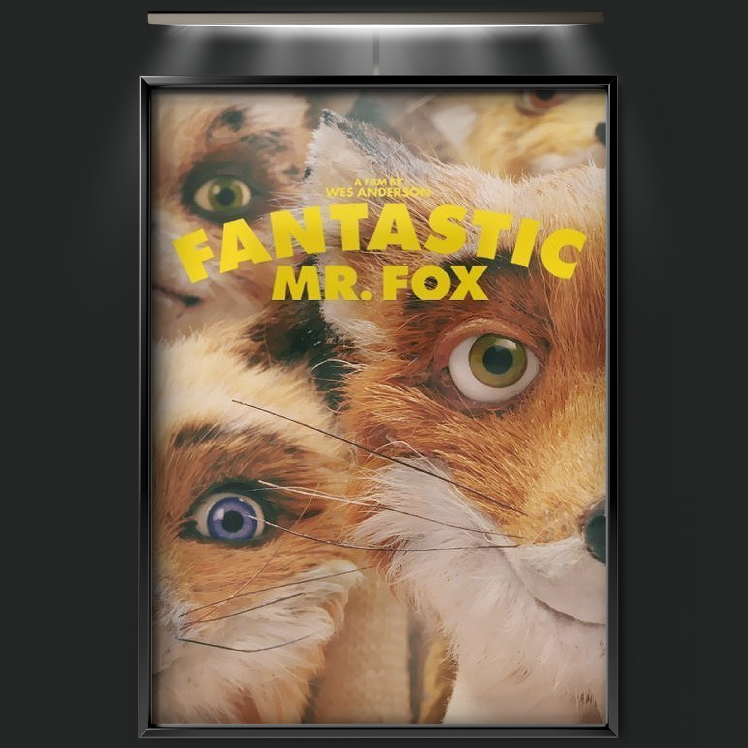 Fantastic Mr. Fox (2009)