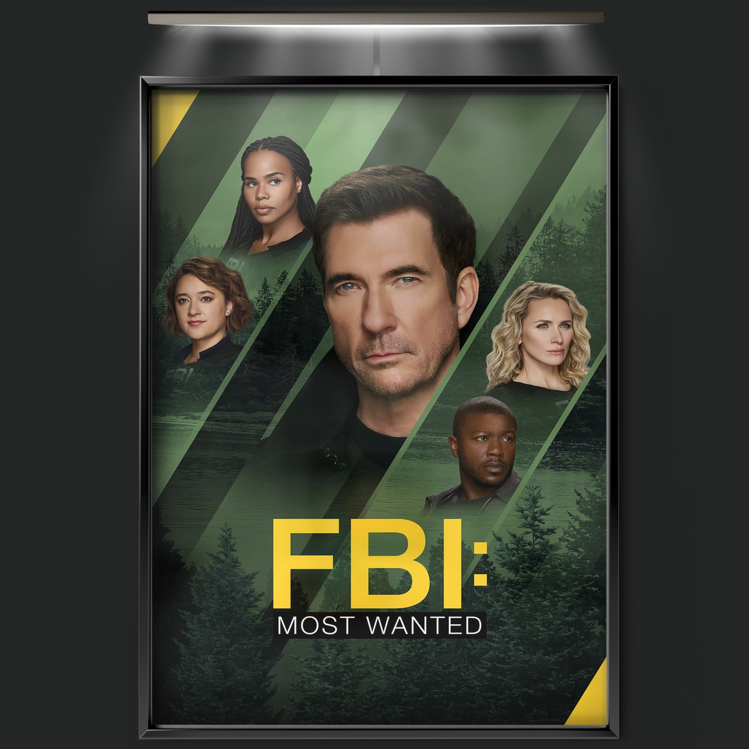 Fbi Most Wanted (2020)