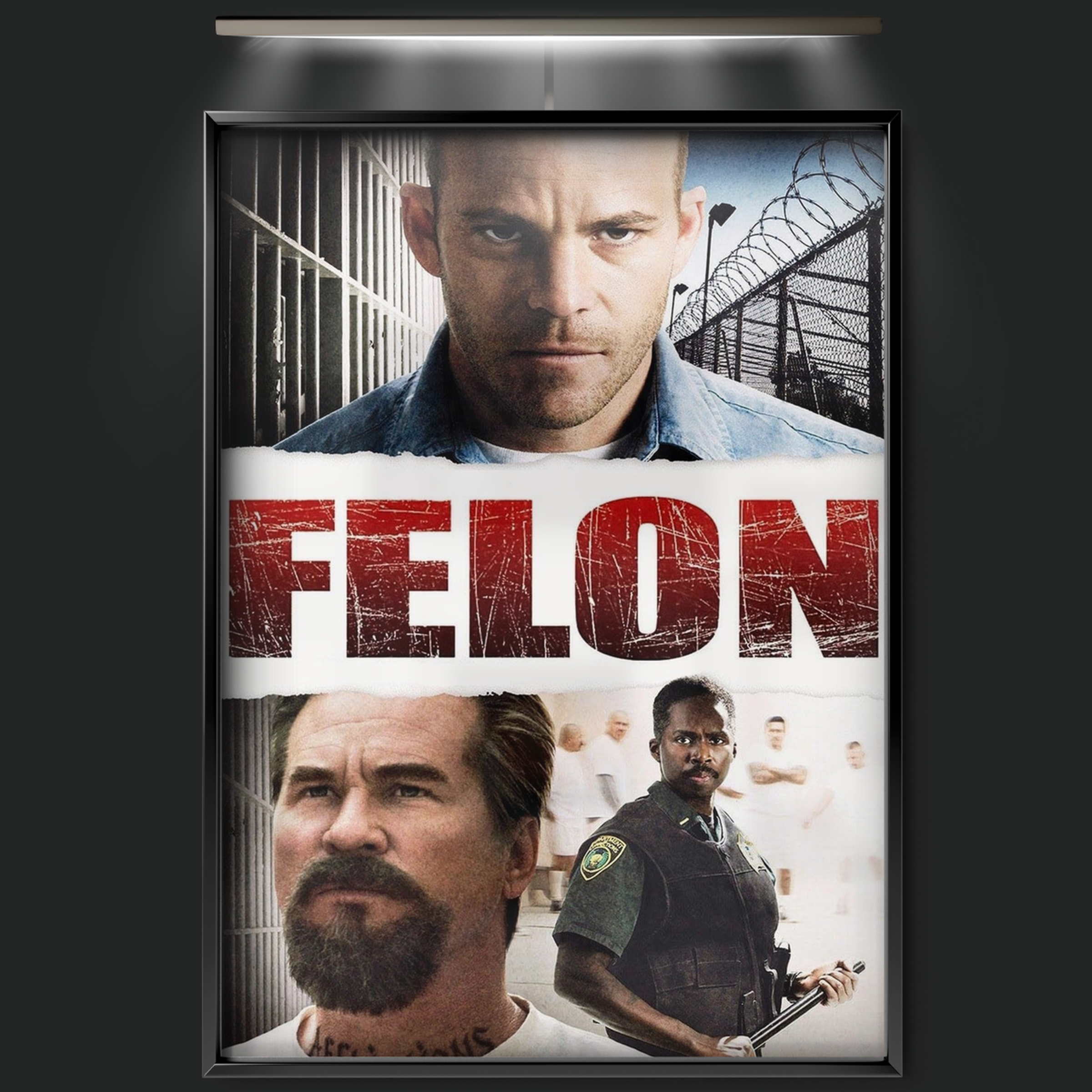 Felon (2008)