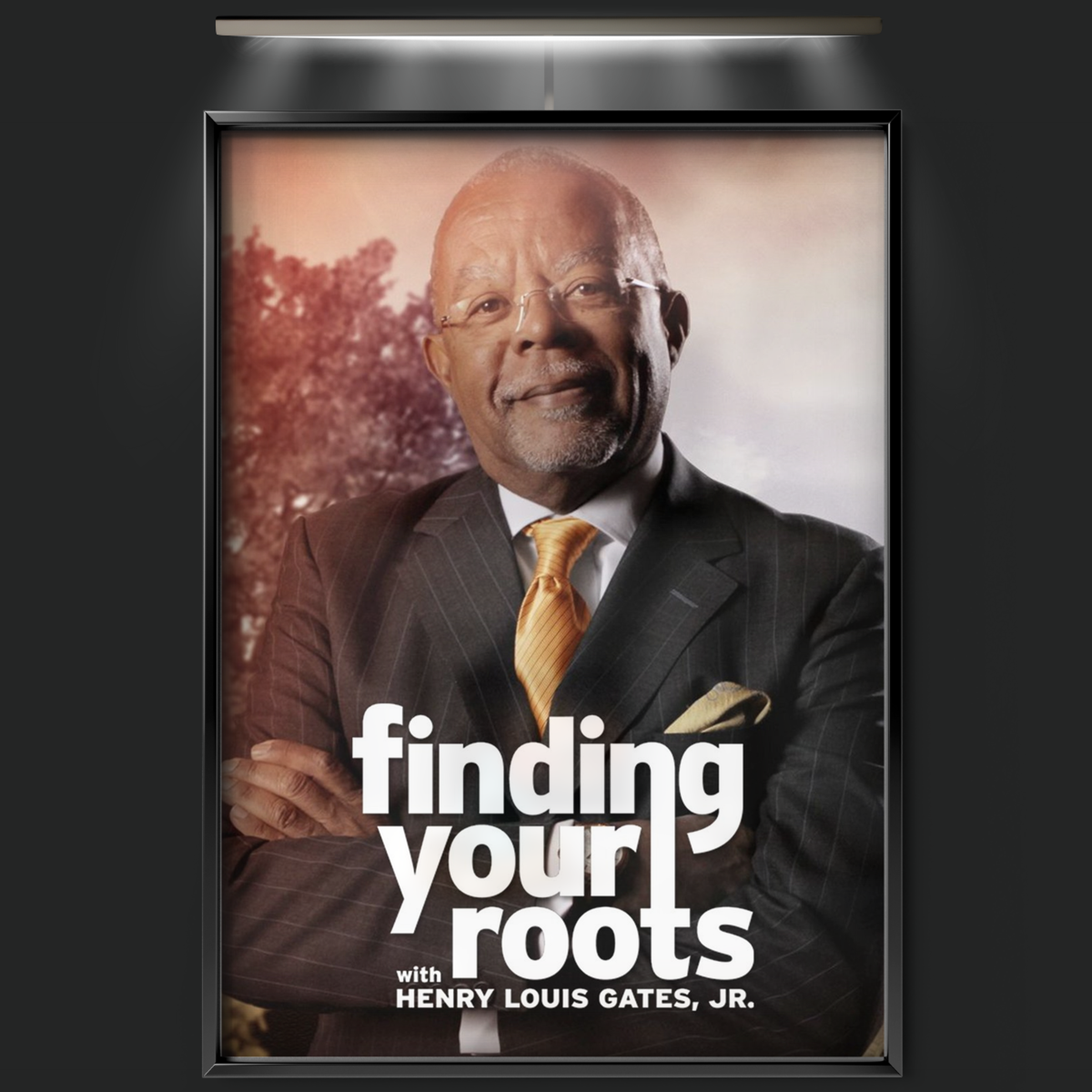 Finding Your Roots (2012)