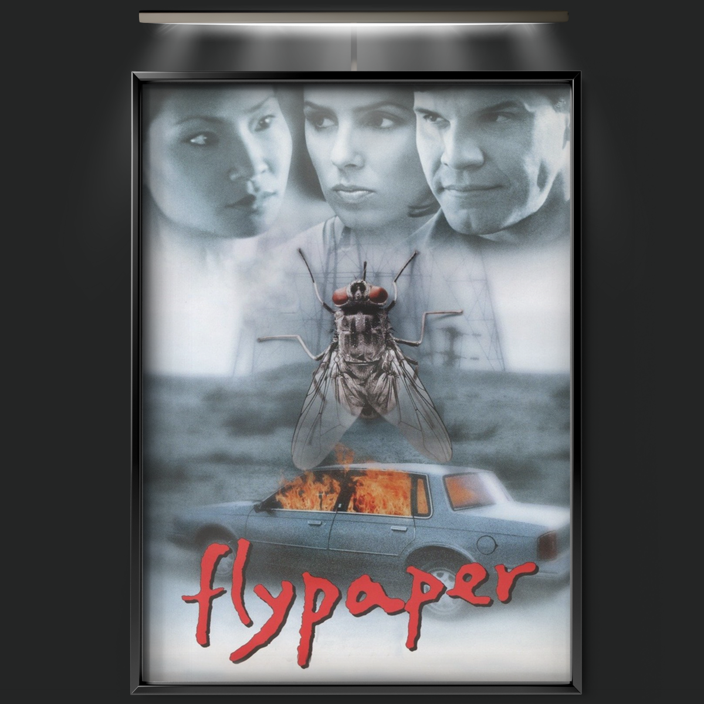 Flypaper (1999)