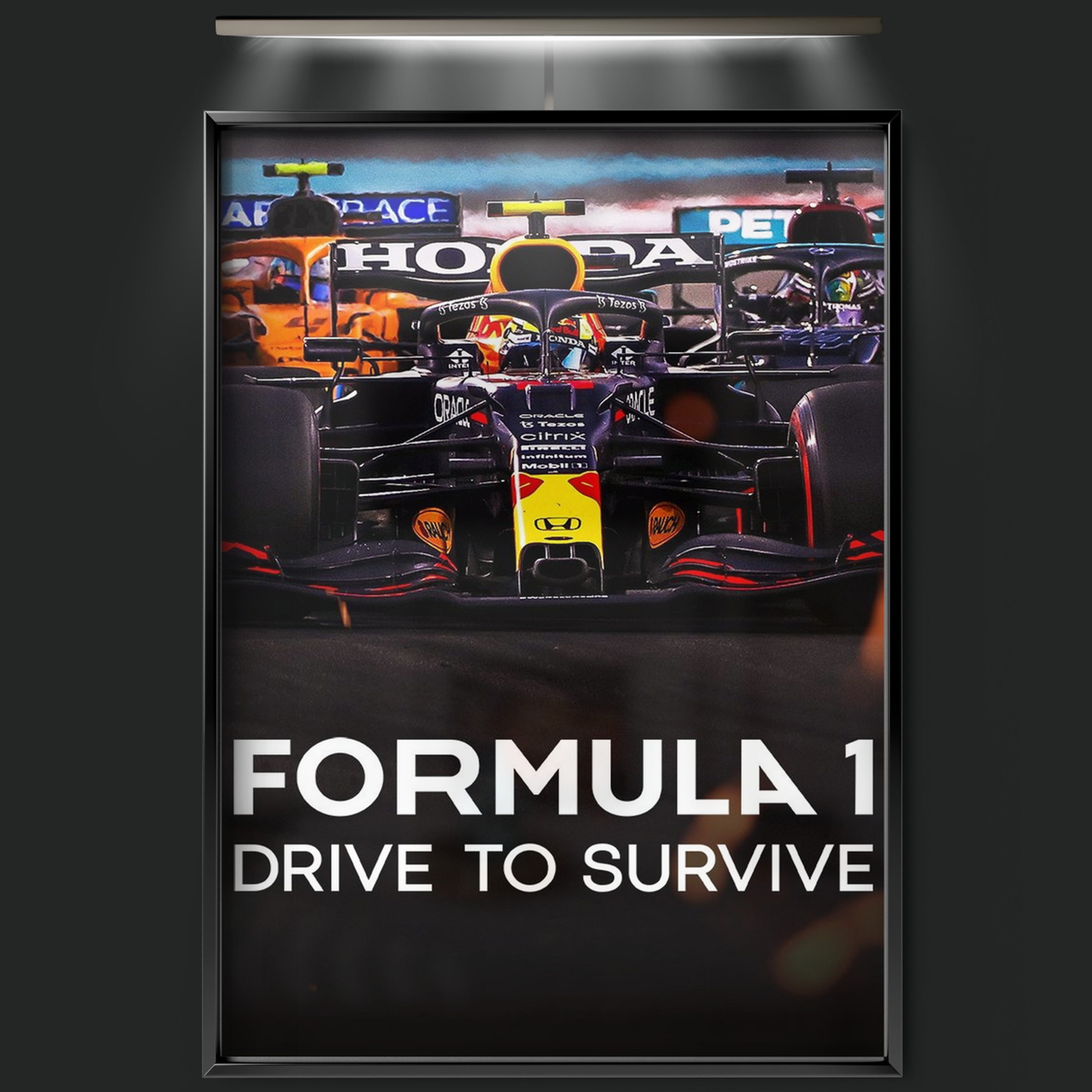 Formula 1 Drive To Survive (2019)