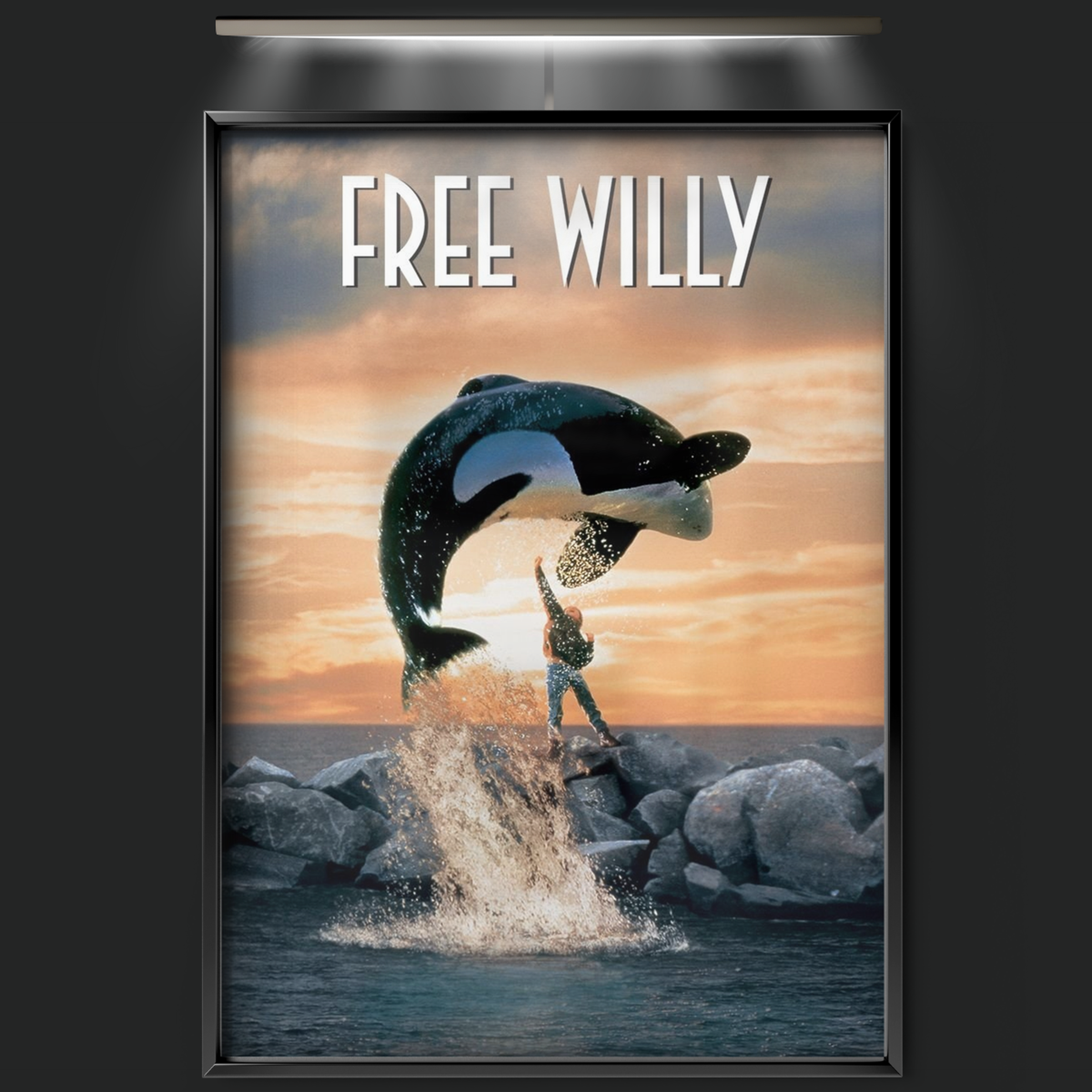 Free Willy (1993)