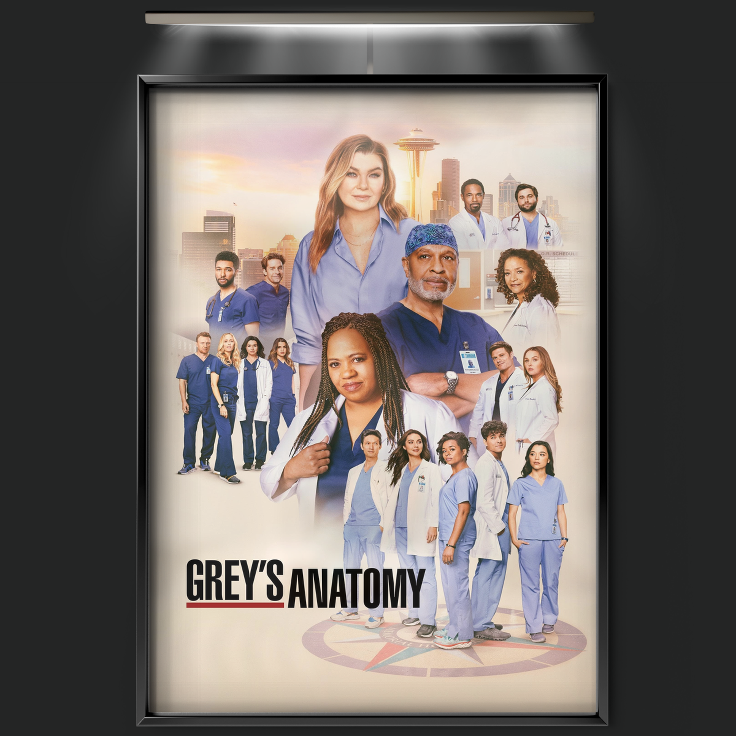 Grey's Anatomy (2005)