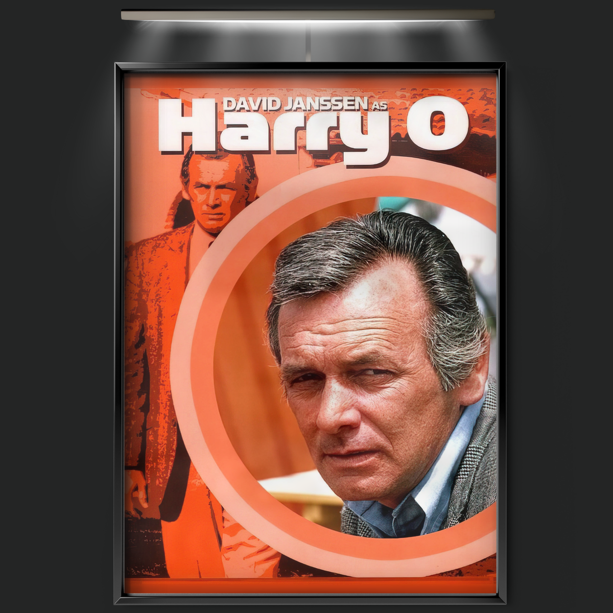 Harry O (1974)