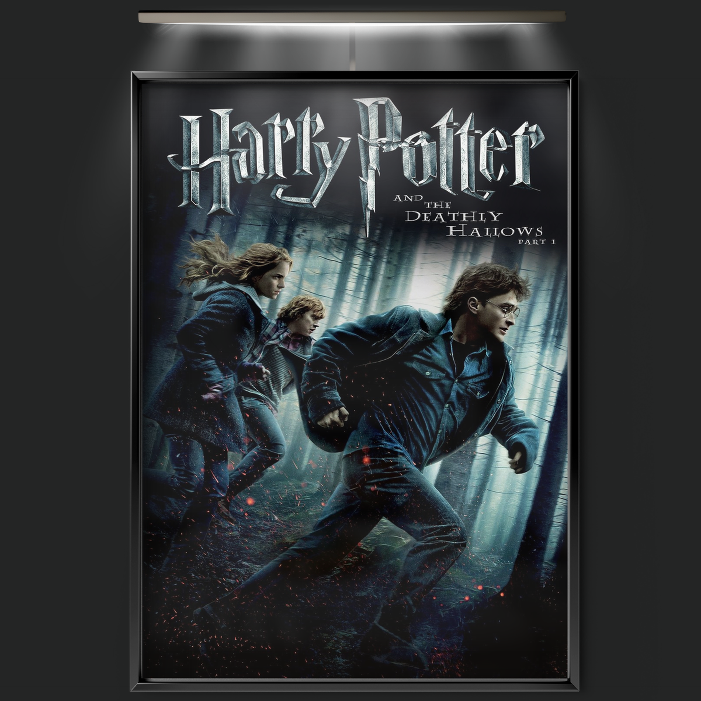 Harry Potter And The Deathly Hallows Part 1 (2010)