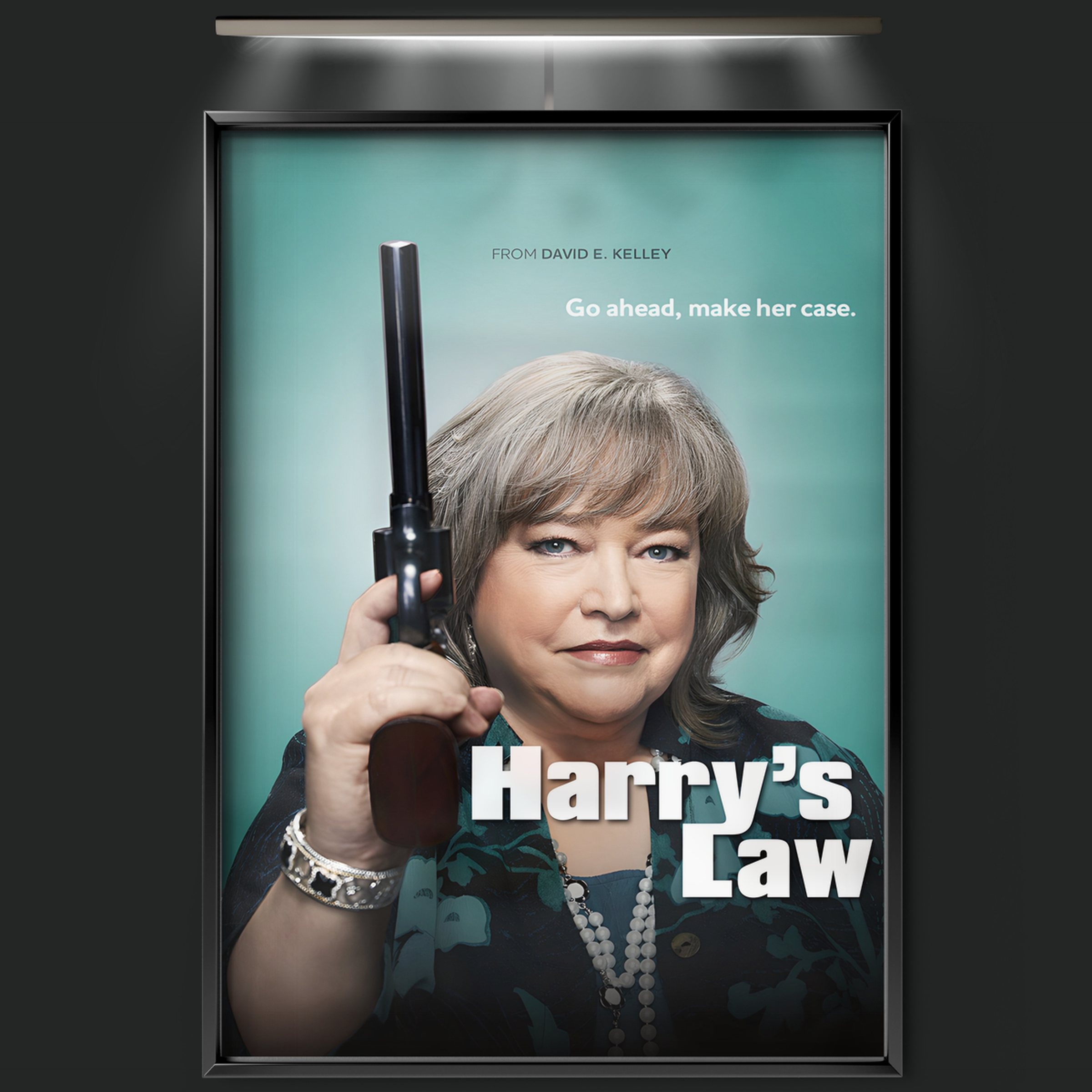 Harry's Law (2011)