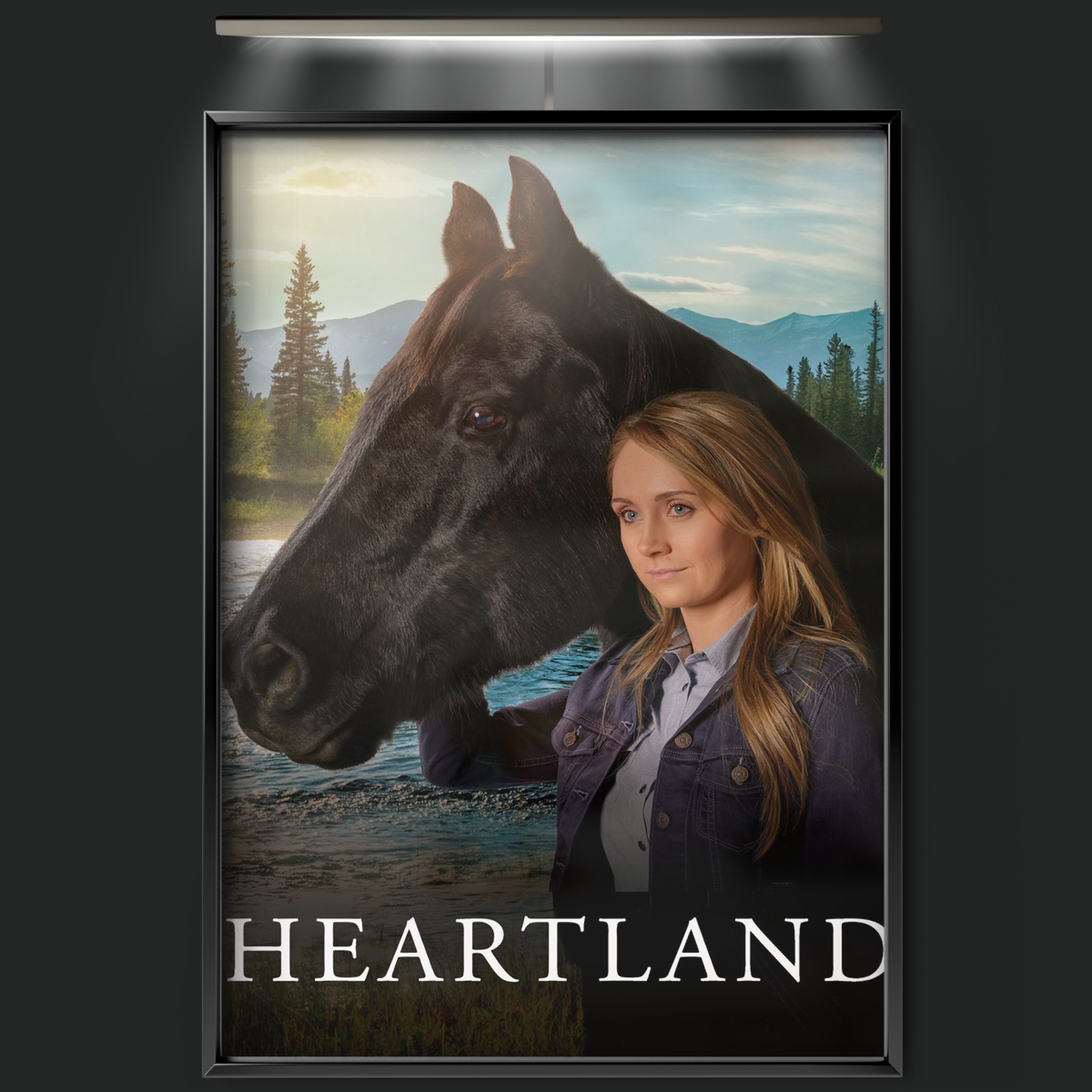 Heartland (2007)