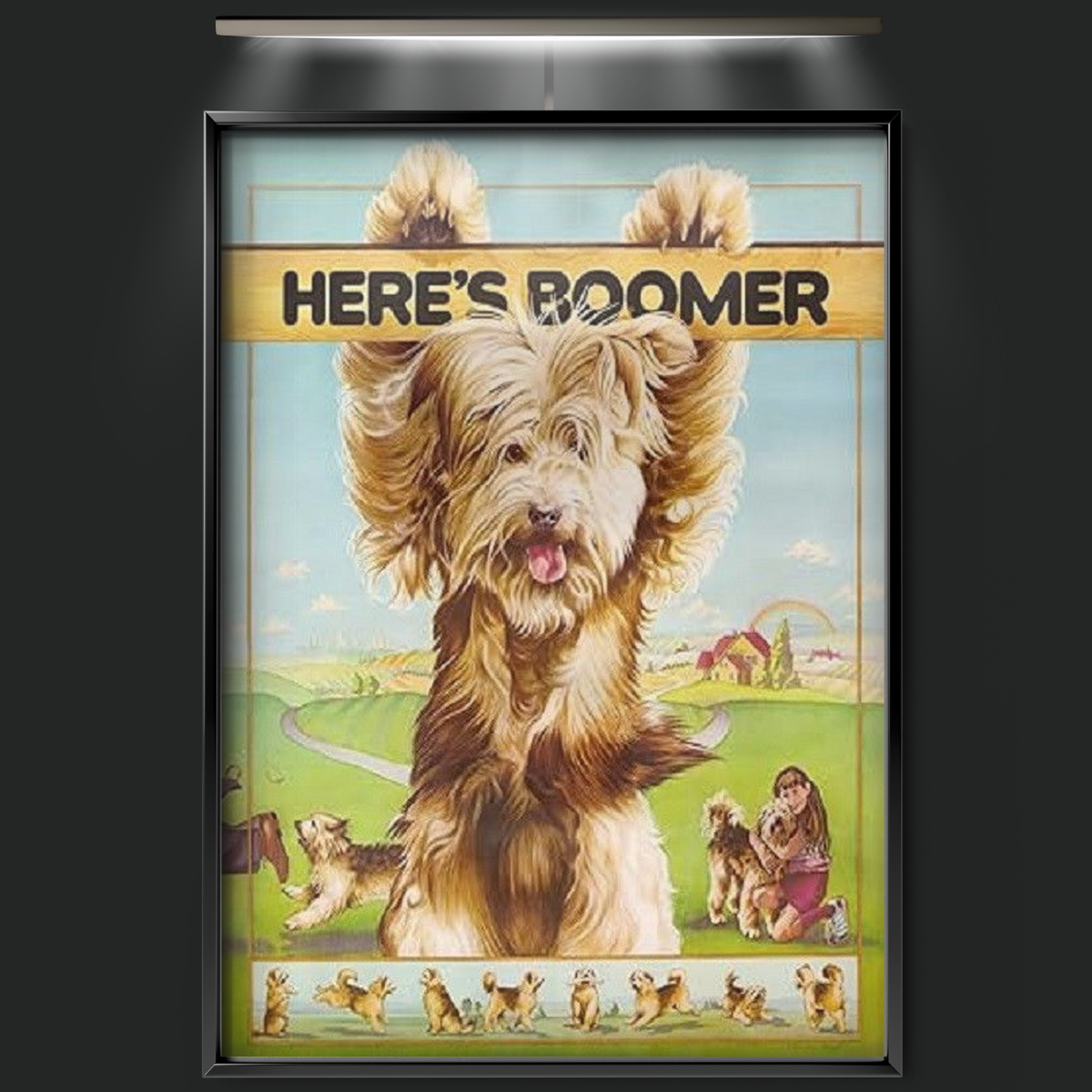 Here's Boomer (1981)