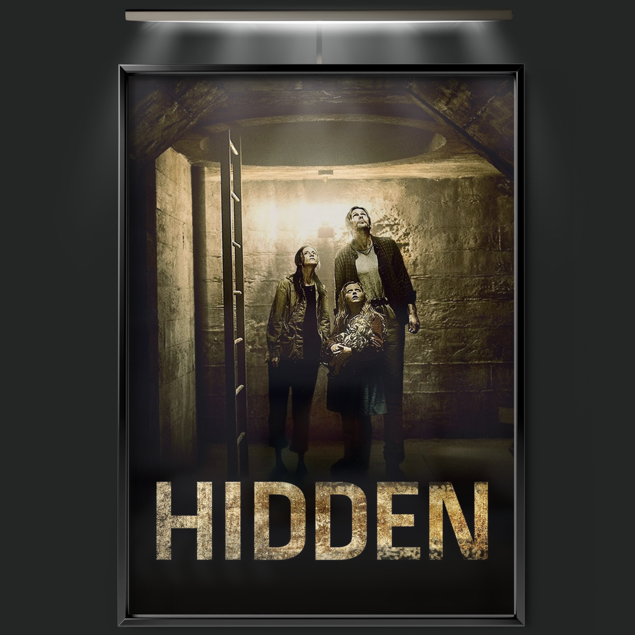 Hidden (2015)