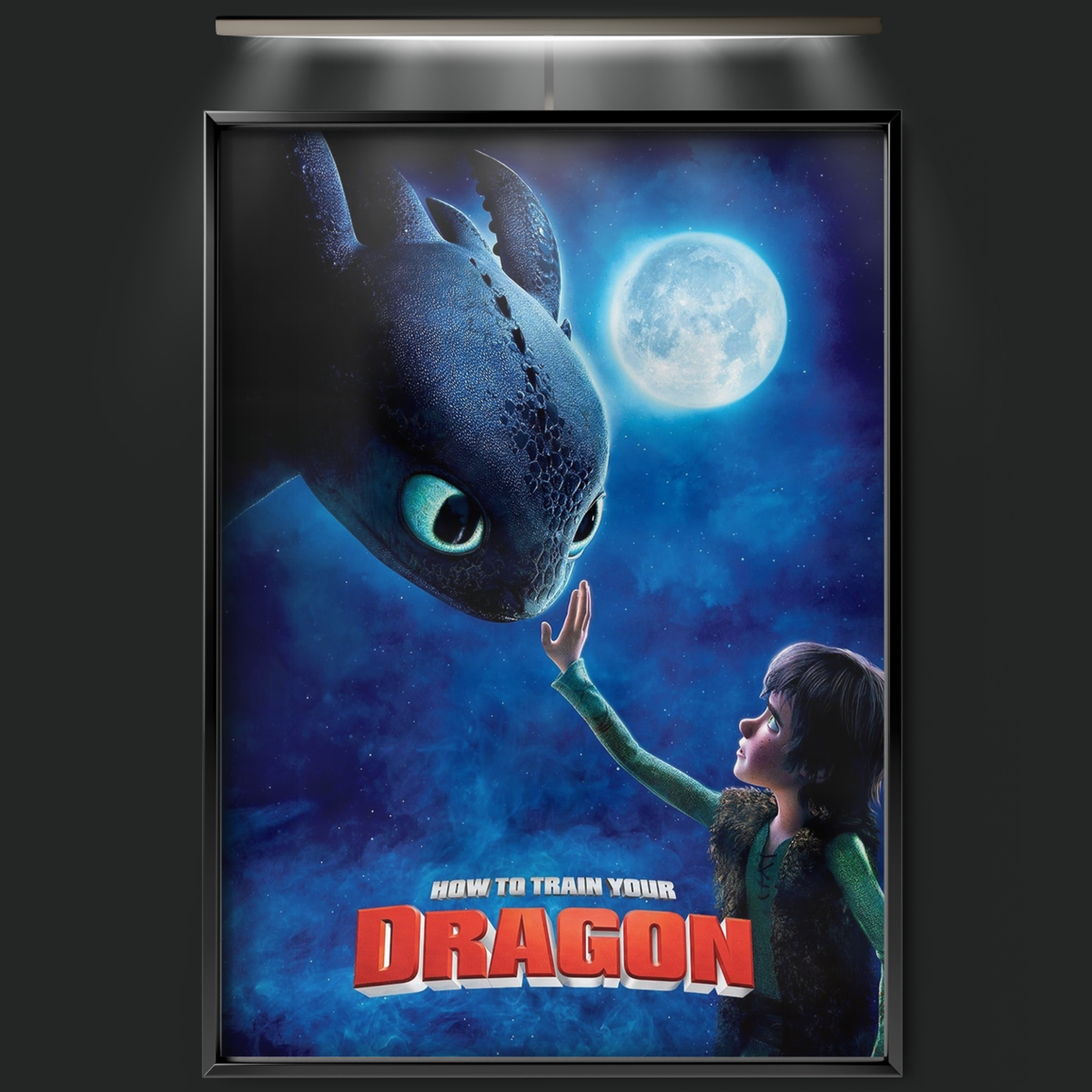 How To Train Your Dragon (2010)