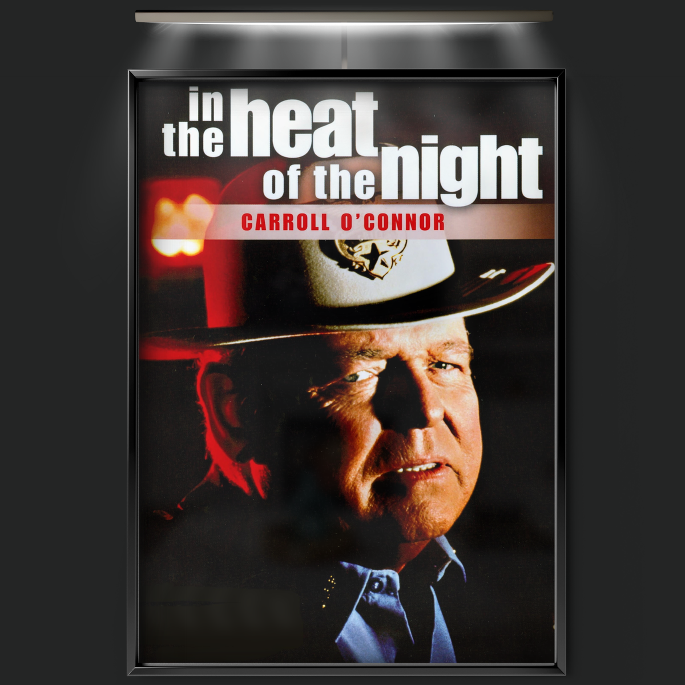 In The Heat Of The Night (1988)
