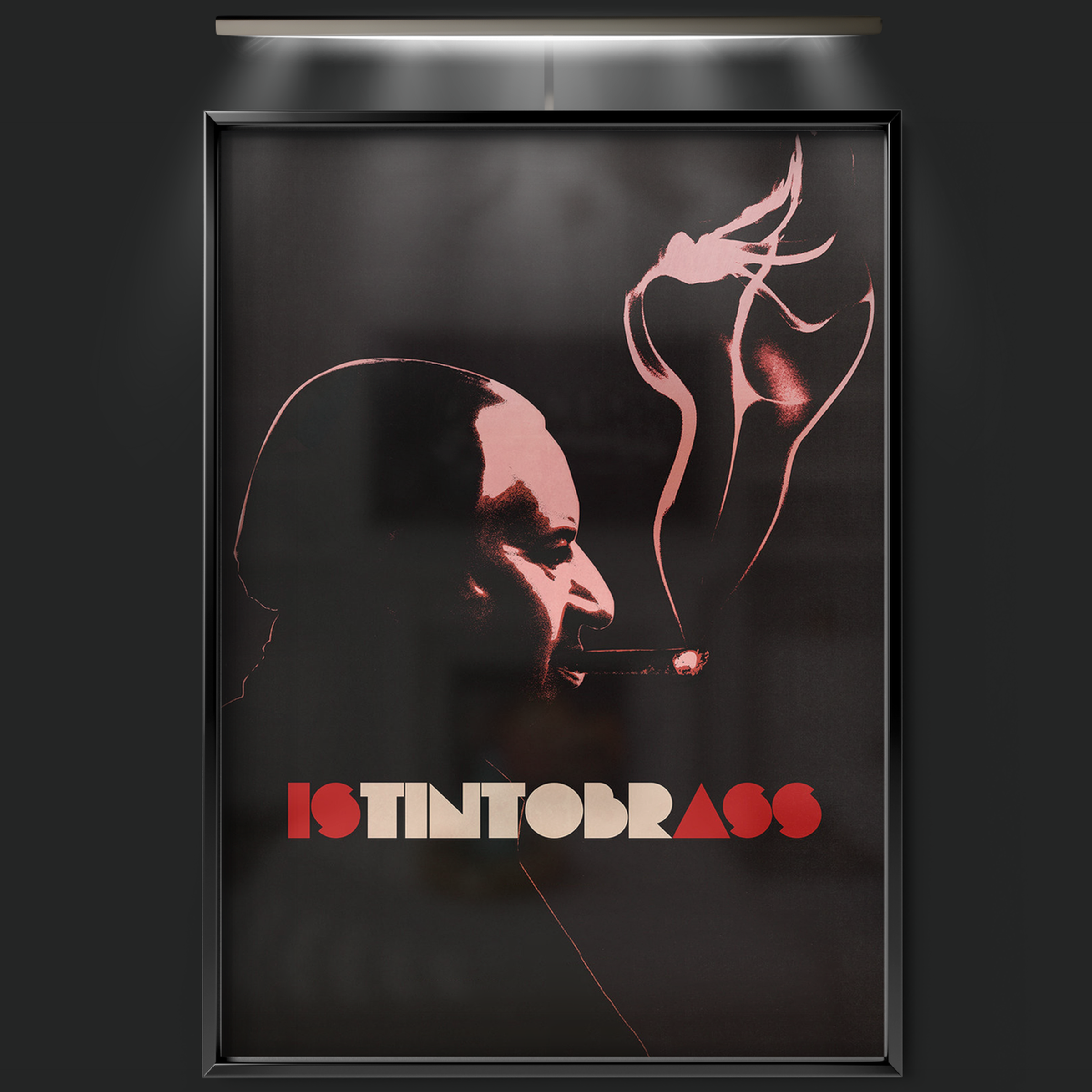 Istintobrass (2013)