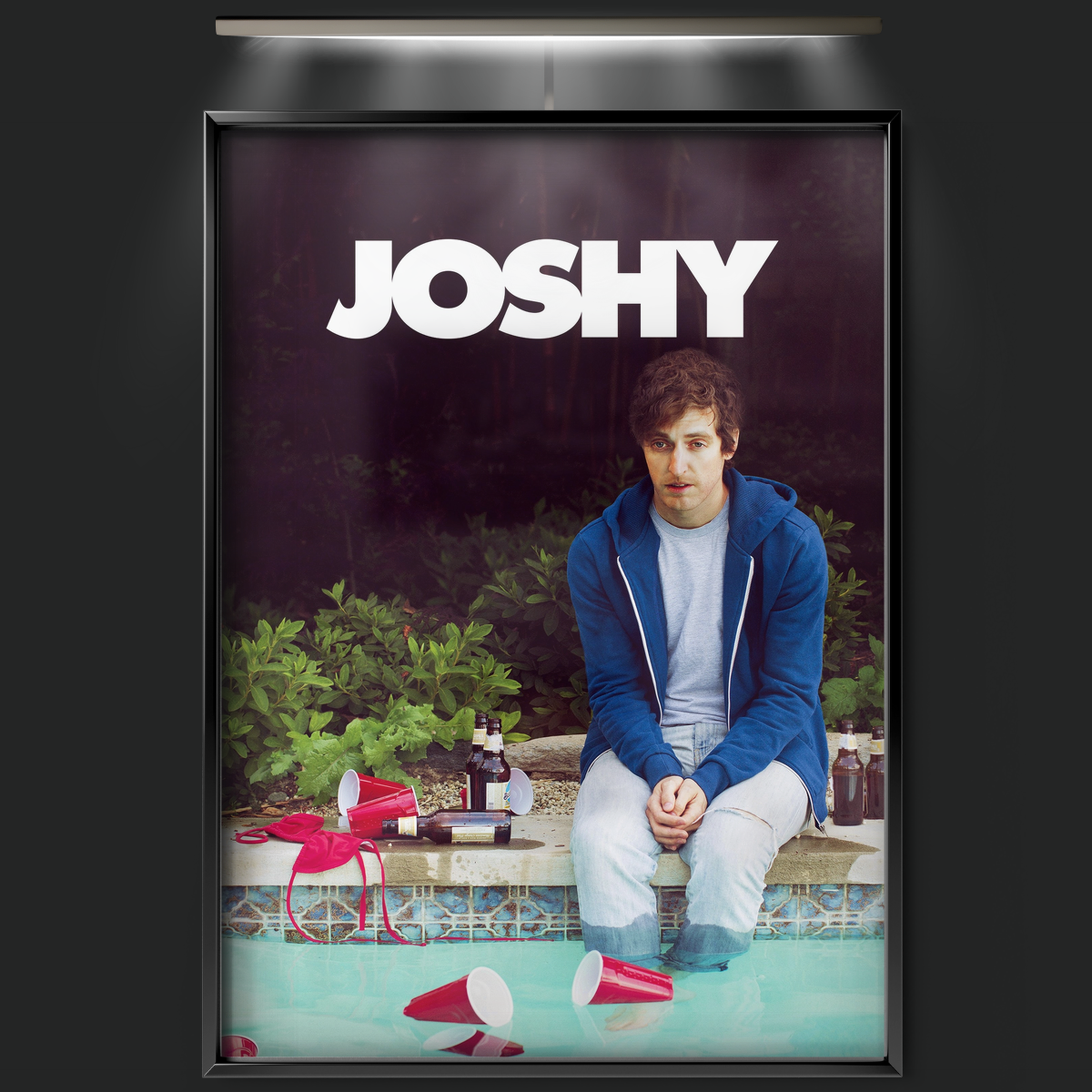 Joshy (2016)