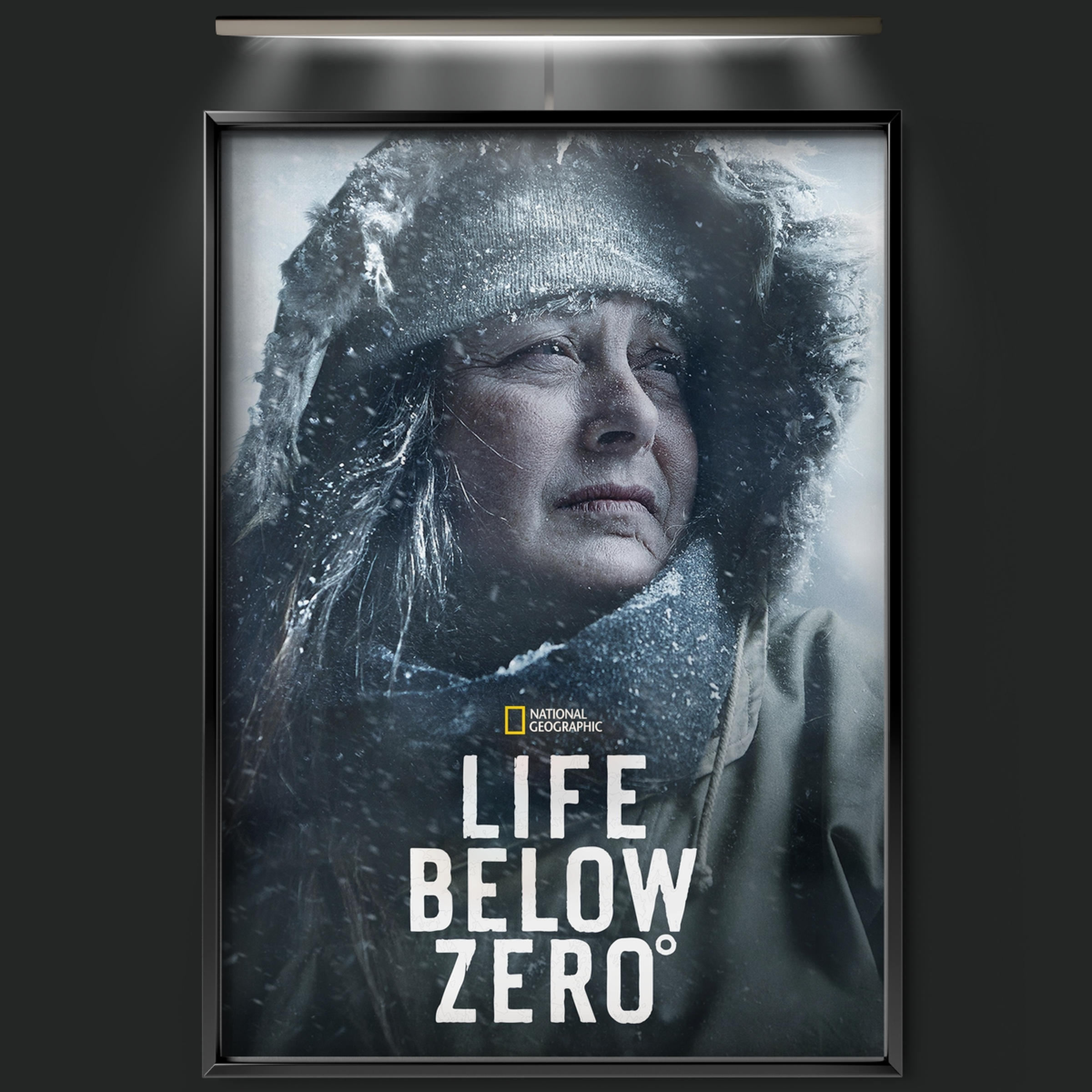 Life Below Zero (2013)