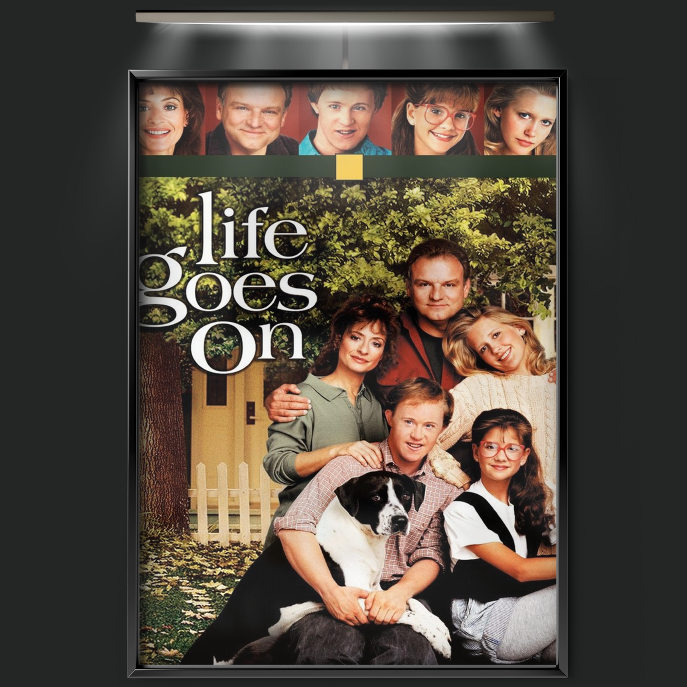 Life Goes On (1989)
