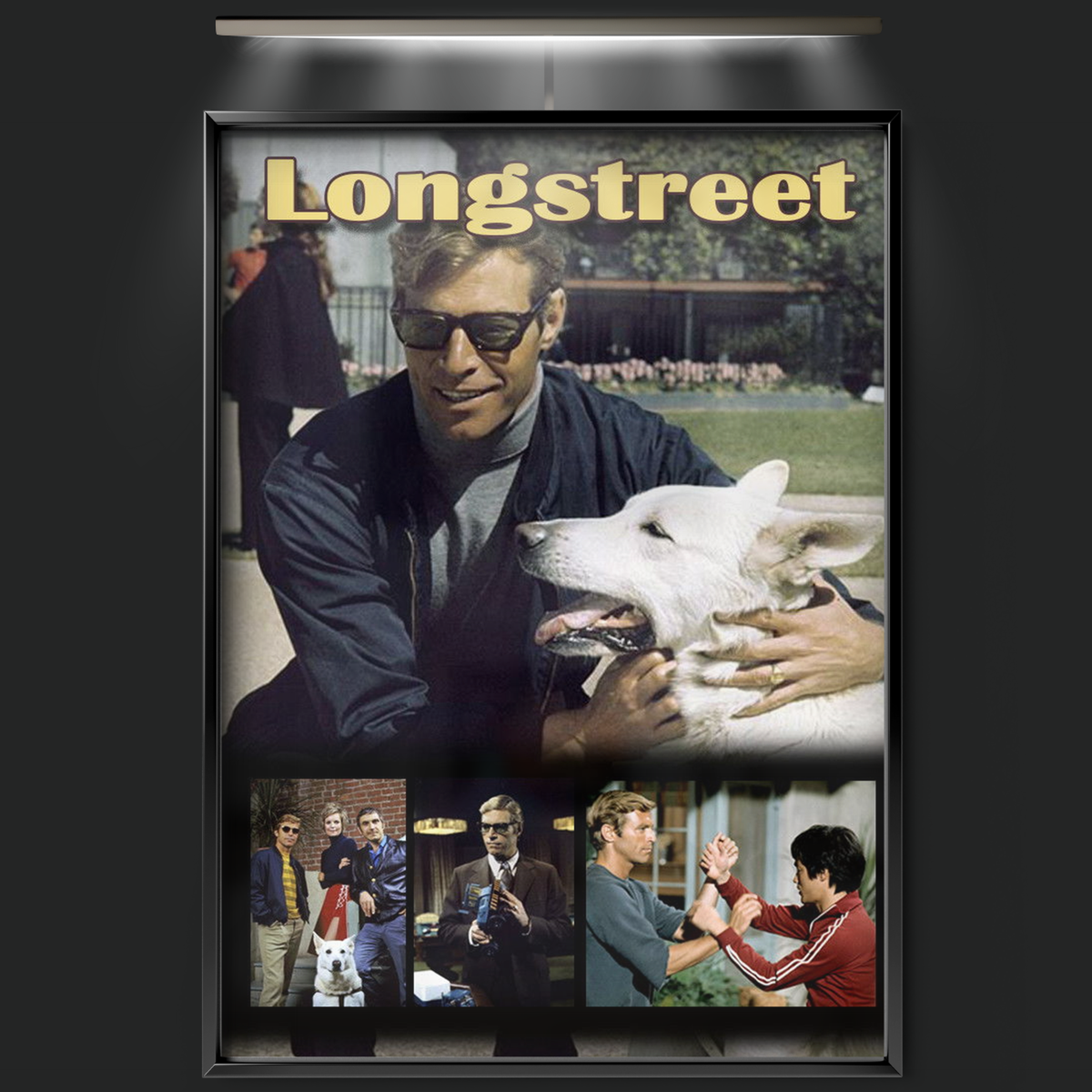 Longstreet (1971)