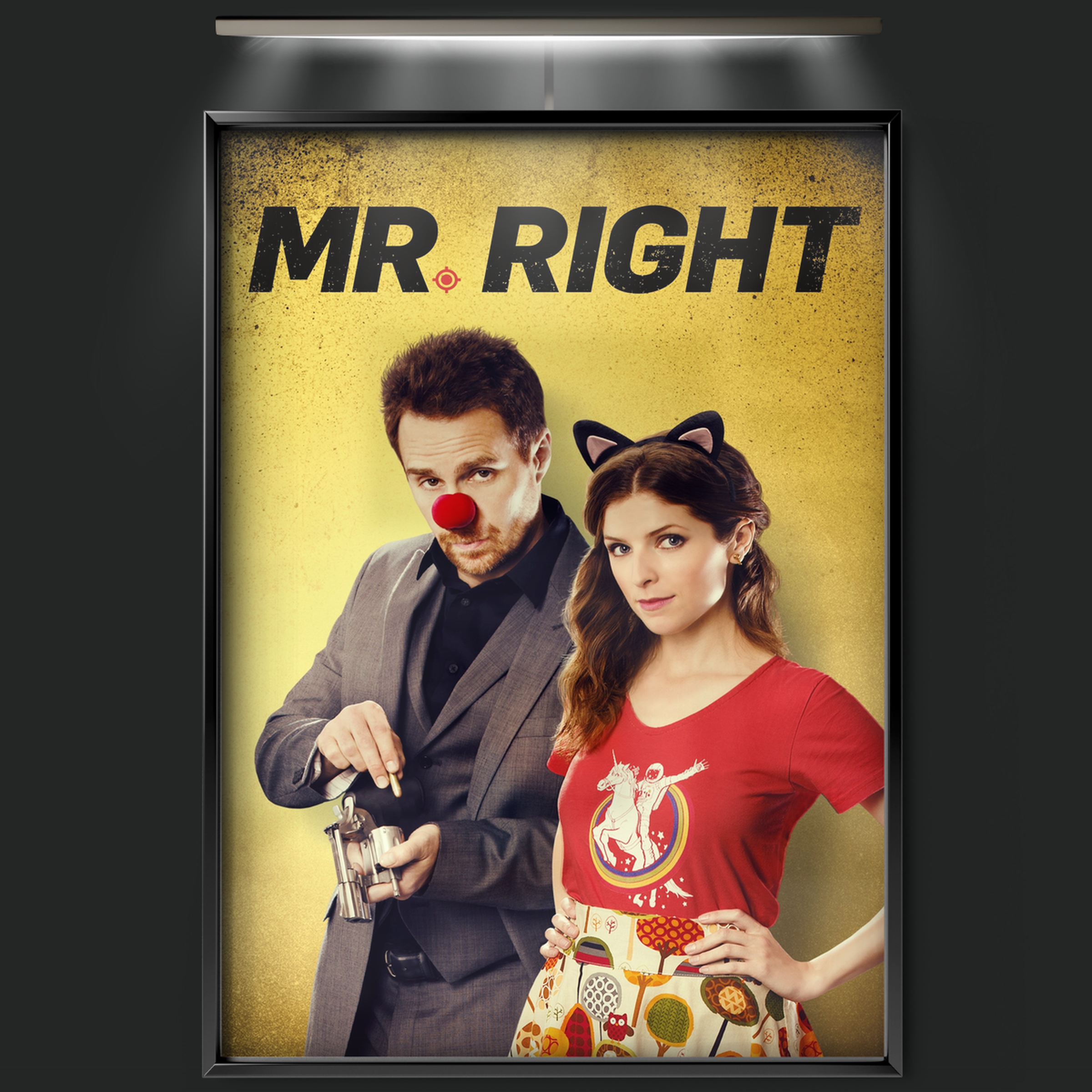 Mr. Right (2016)