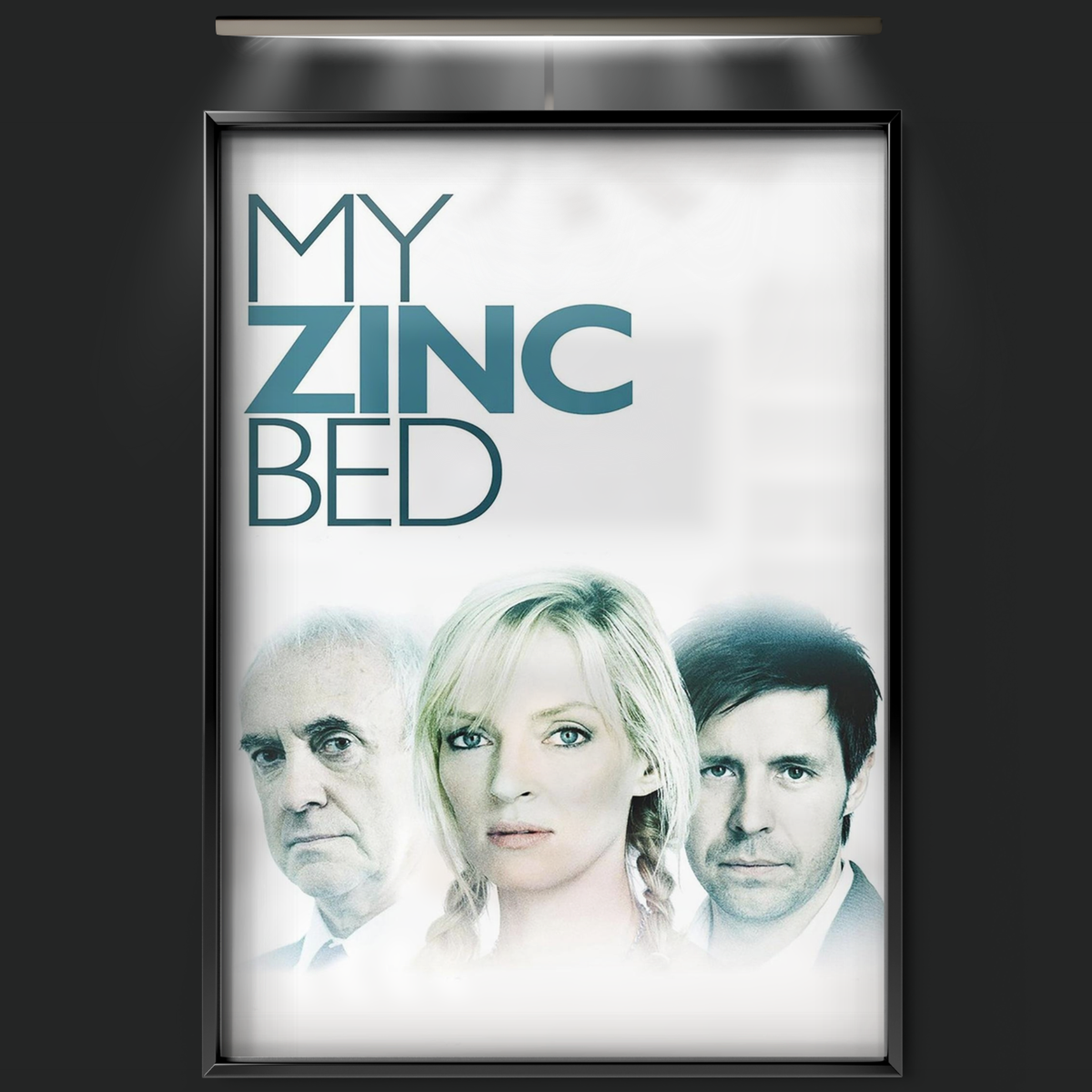 My Zinc Bed (2008)