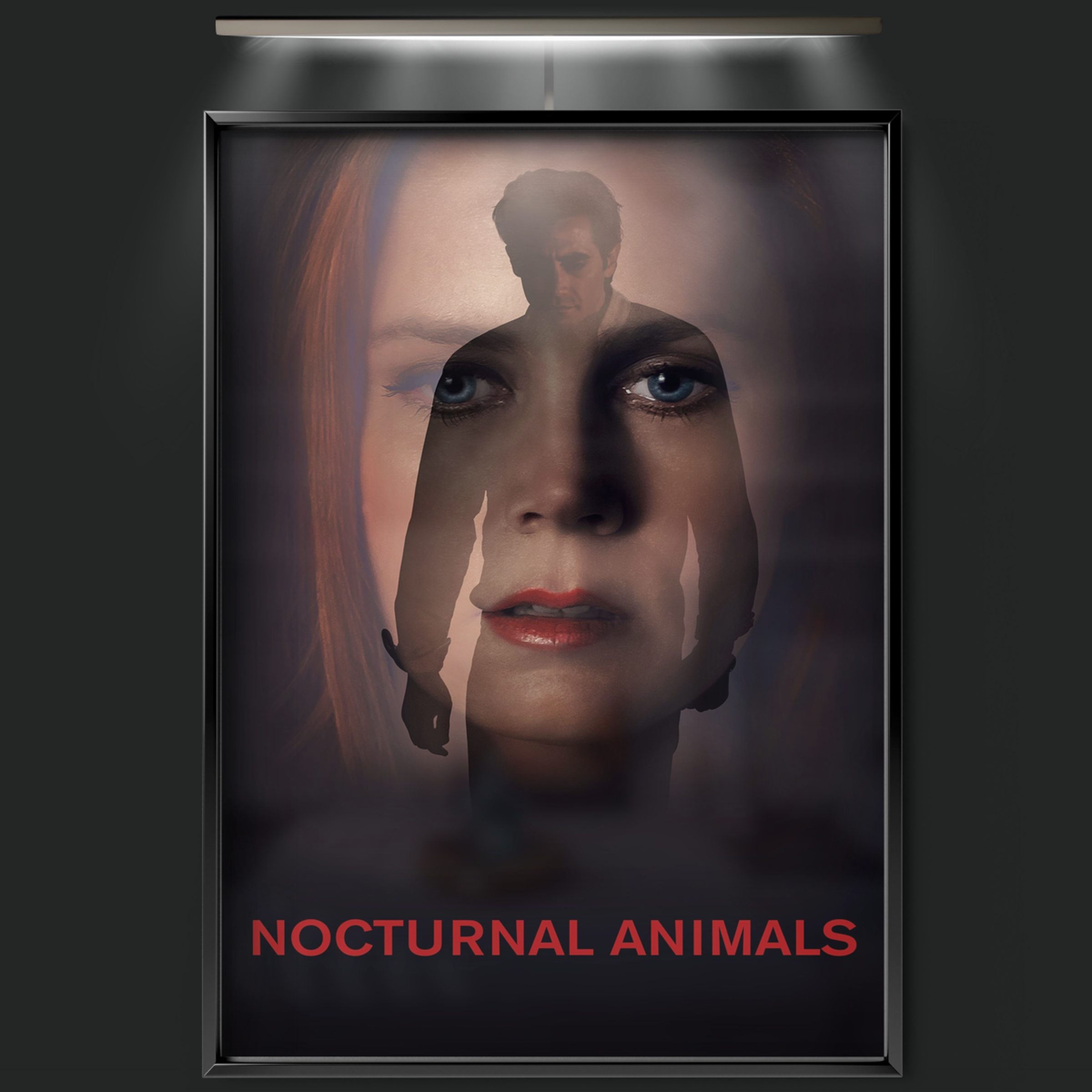 Nocturnal Animals (2016)